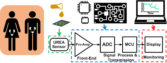 Sensors Free Full Text A Portable Low Power Acquisition System With A Urease Bioelectrochemical Sensor For Potentiometric Detection Of Urea Concentrations Html