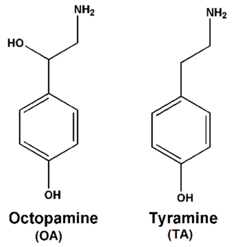 Sensors Free Full Text An Easily Fabricated Electrochemical Sensor Based On A Graphene Modified Glassy Carbon Electrode For Determination Of Octopamine And Tyramine Html Sensors Free Full Text An Easily Fabricated Electrochemical Sensor Based On A Graphene Modified Glassy Carbon Electrode For Determination Of Octopamine And Tyramine Html