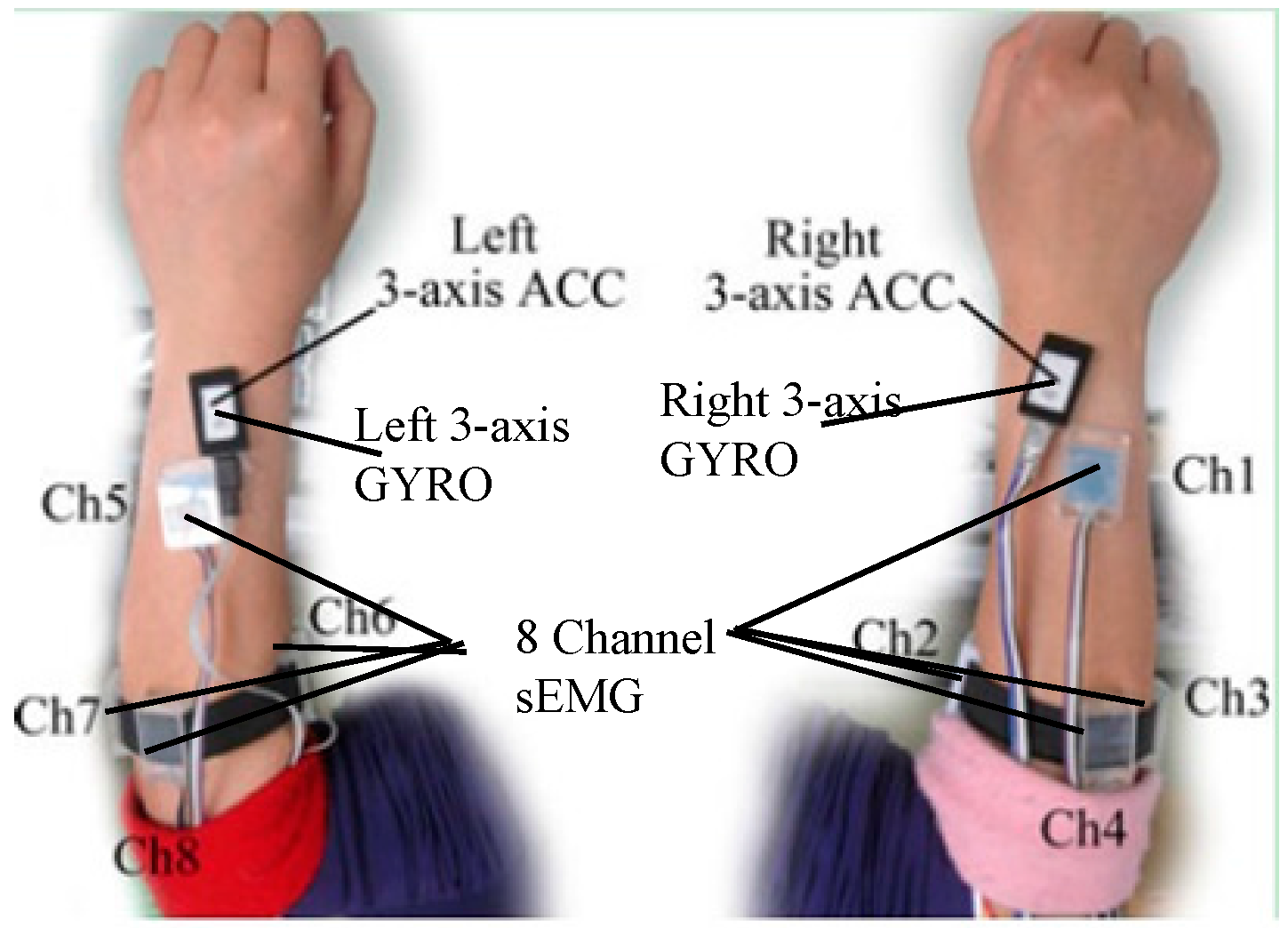Sensors 16 00556 g002 1024