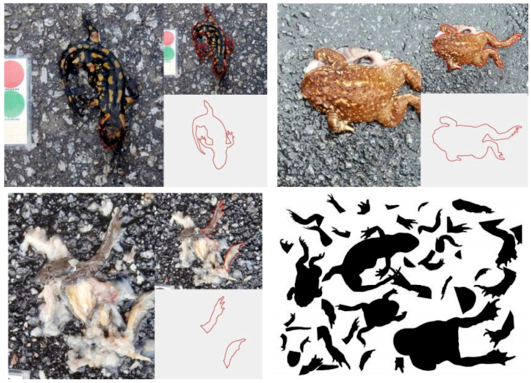 Sensors 16 00558 g015 1024