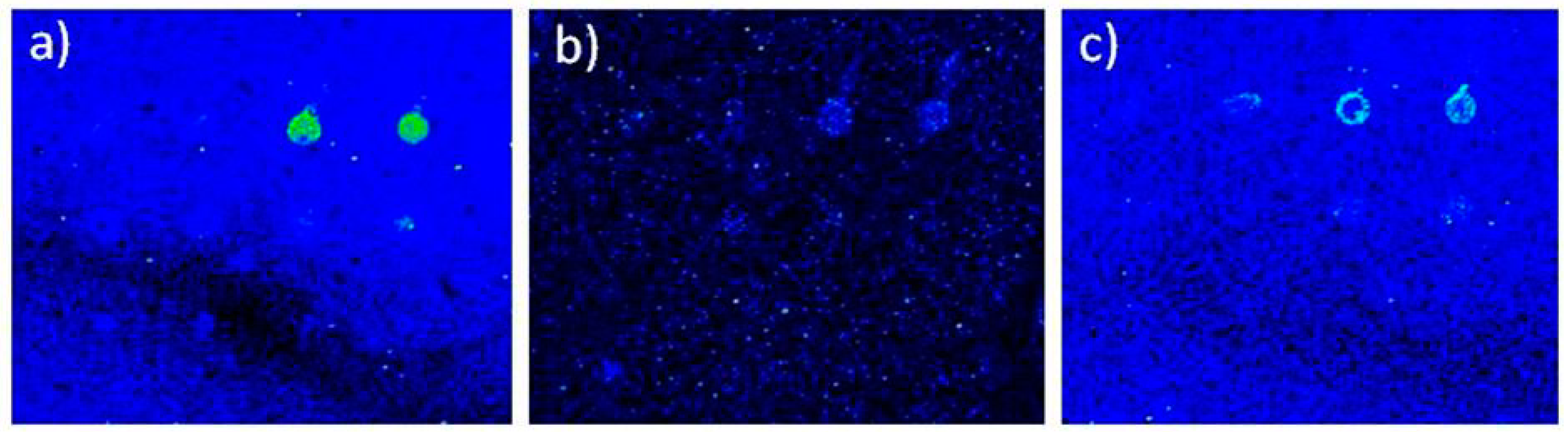 Sensors Free FullText Protein Chips for Detection of Salmonella