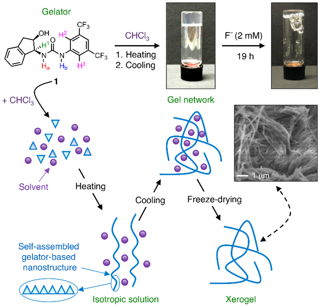 Sensors Free FullText Fluoride Anion Recognition by a