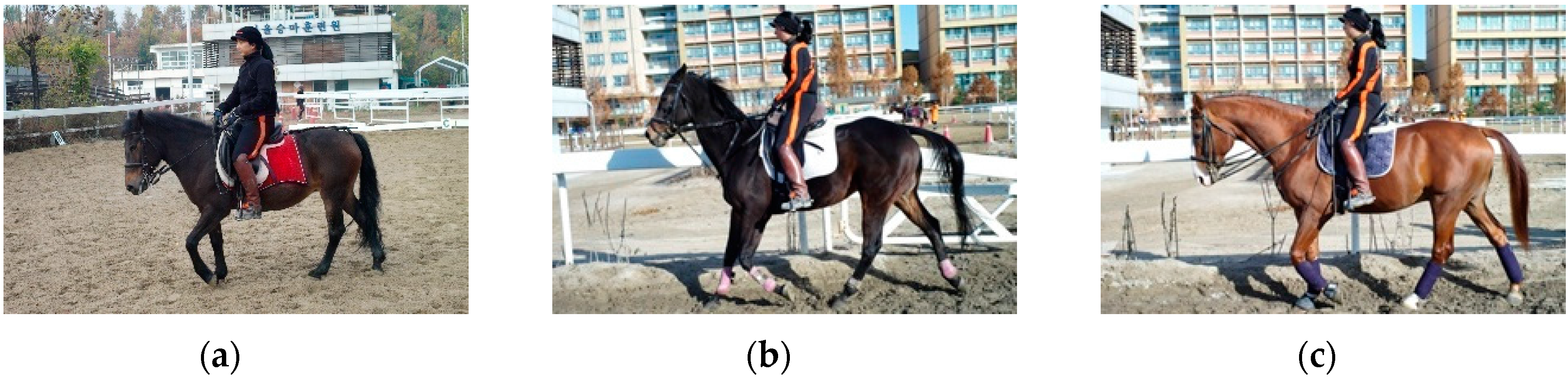 Sensors 16 00664 g004 1024