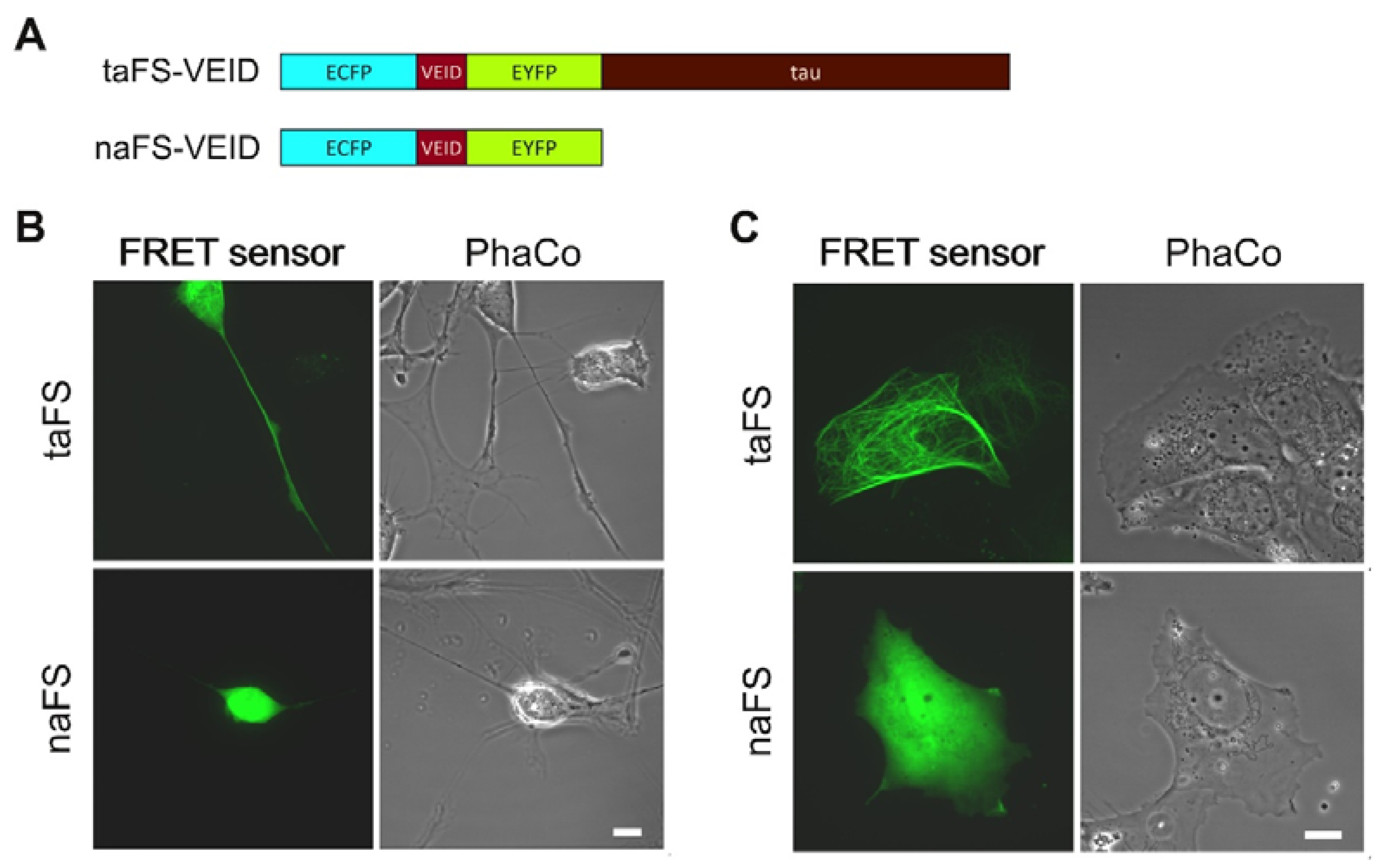 Sensors 16 00703 g001 1024