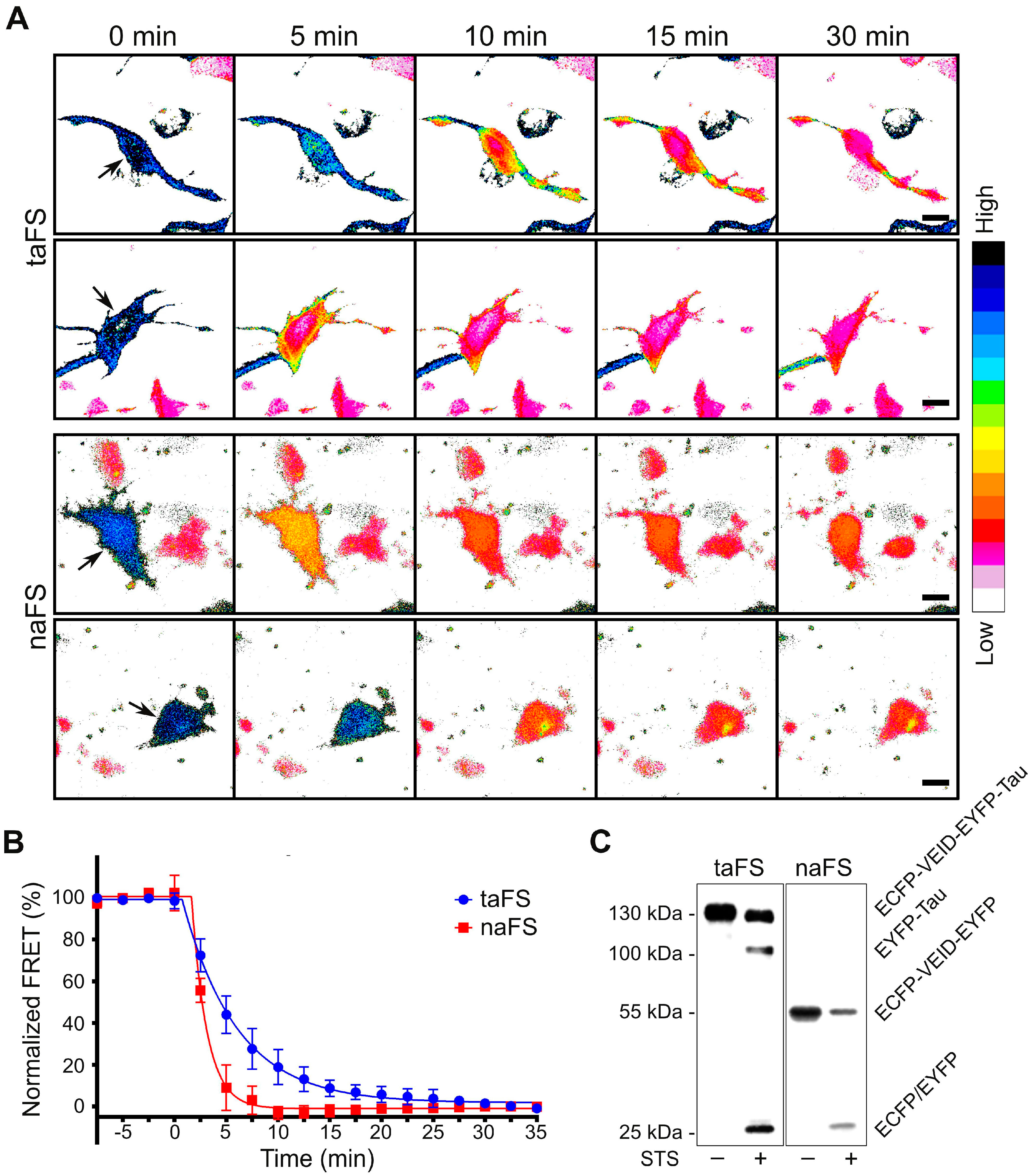 Sensors 16 00703 g002 1024