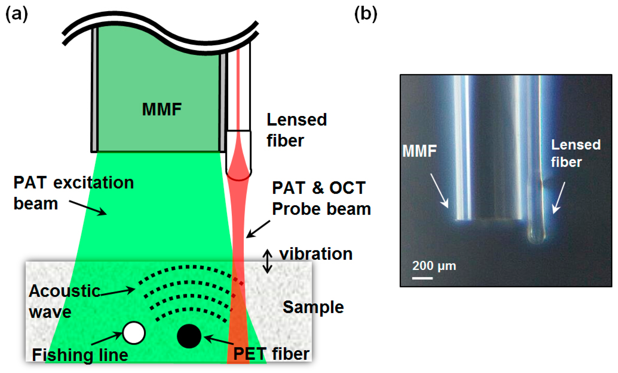 Sensors 16 00734 g002 1024
