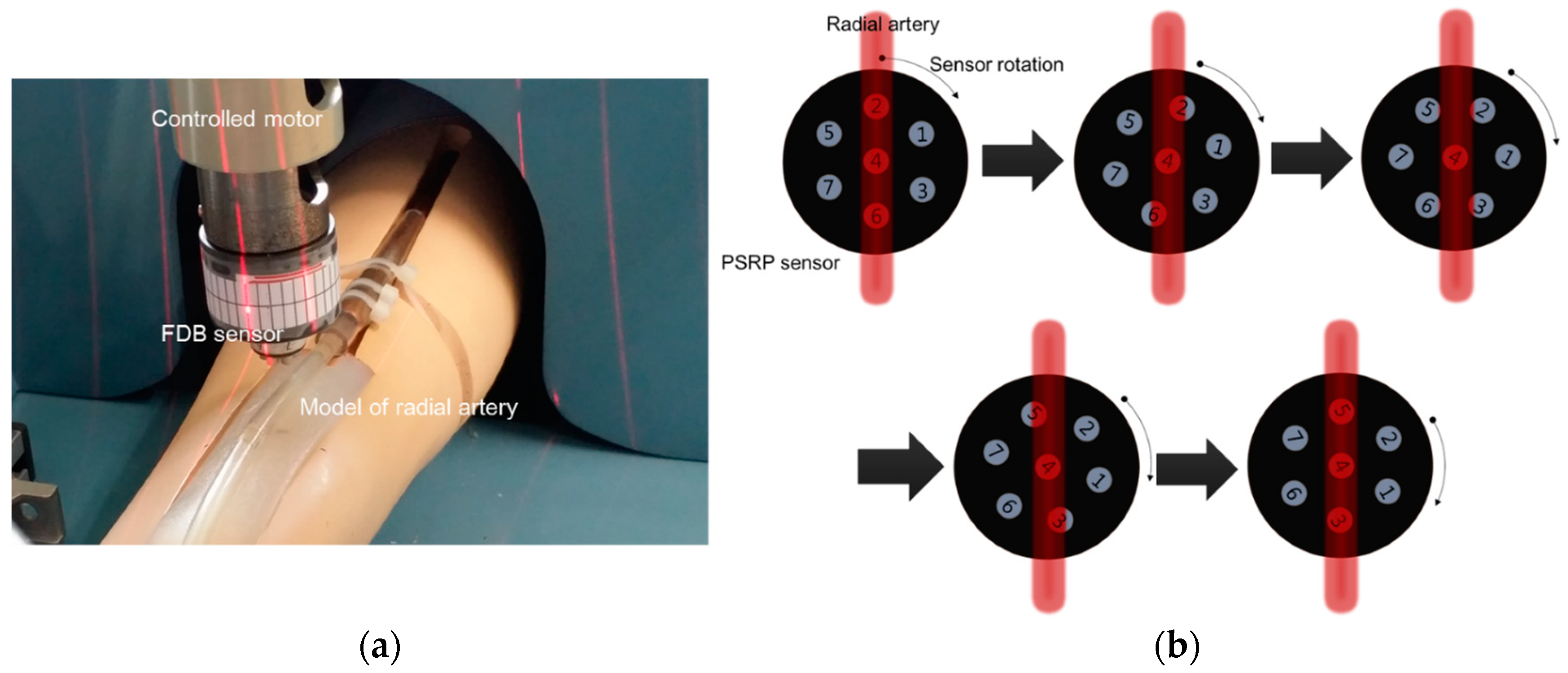 Sensors 16 00768 g009
