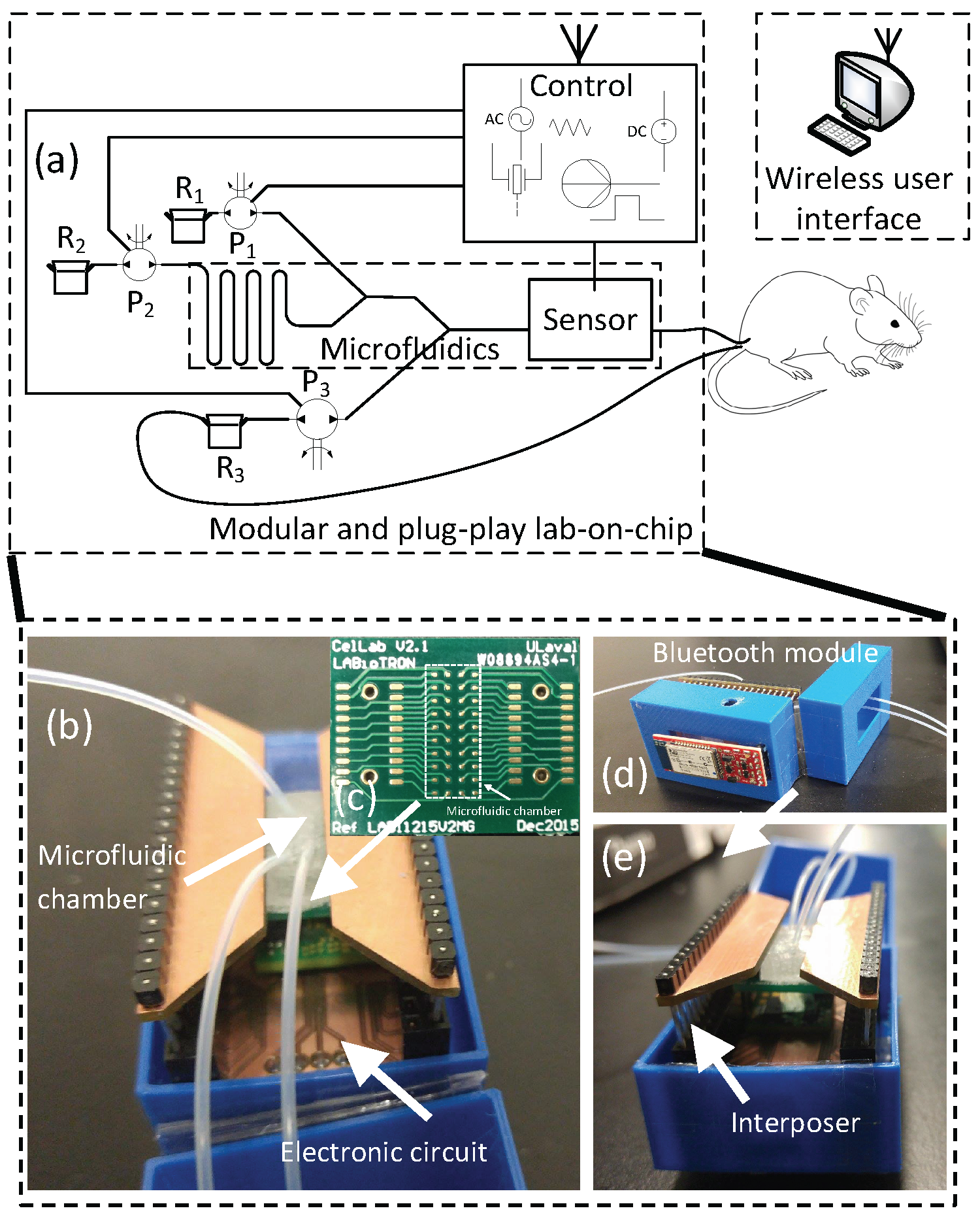 Sensors 16 00778 g002
