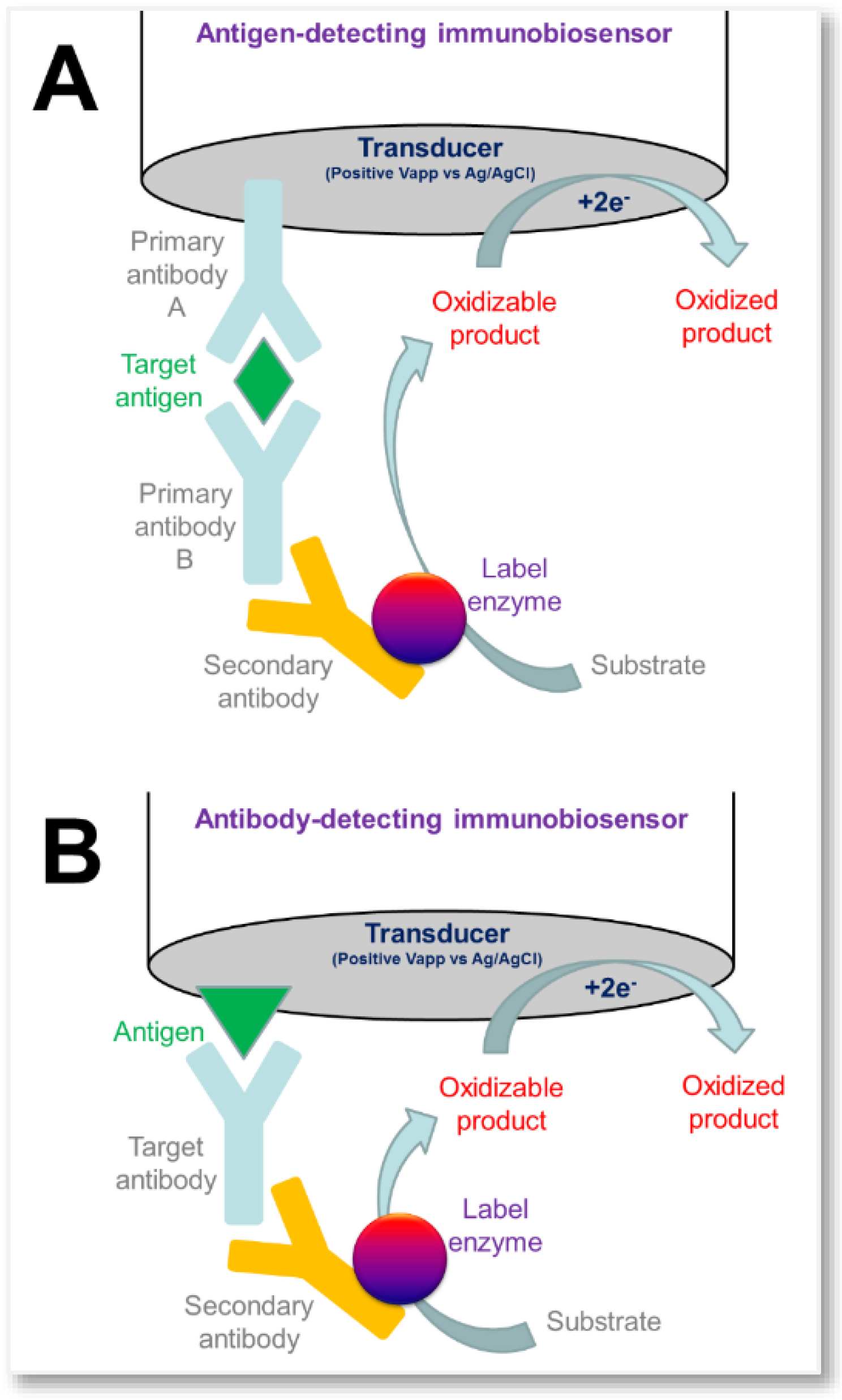 Sensors Free FullText Enzyme Biosensors for Biomedical Applications Strategies for
