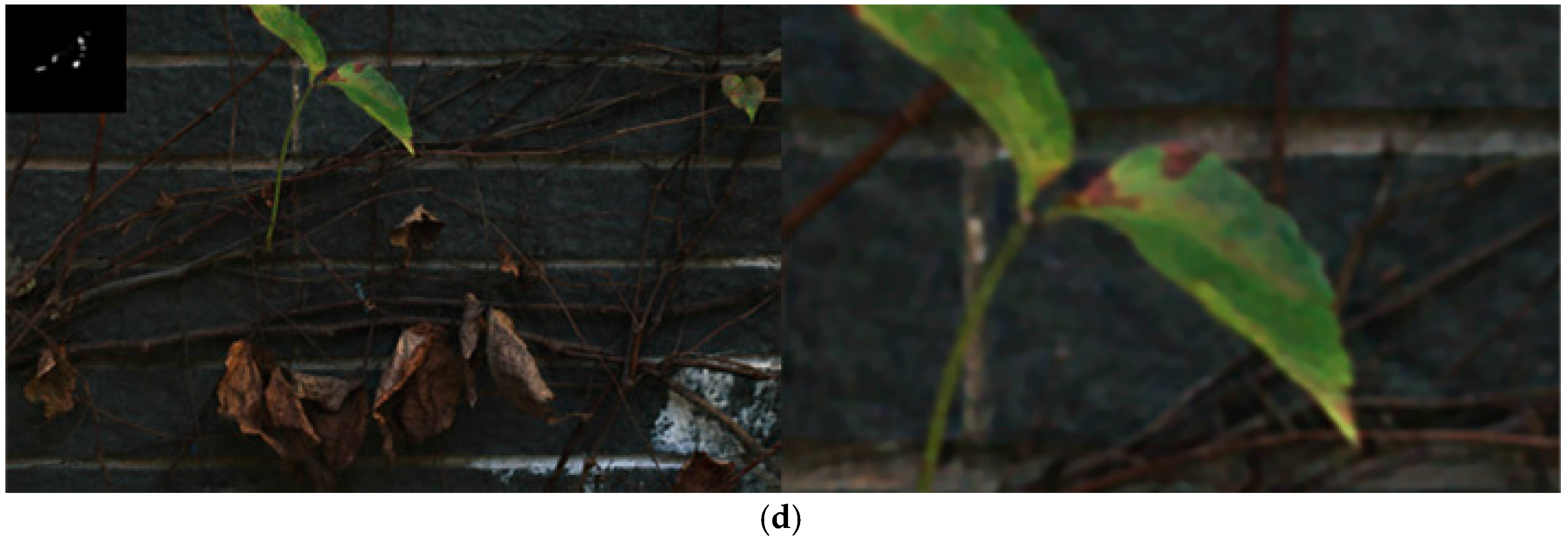 Sensors 16 00845 g012b