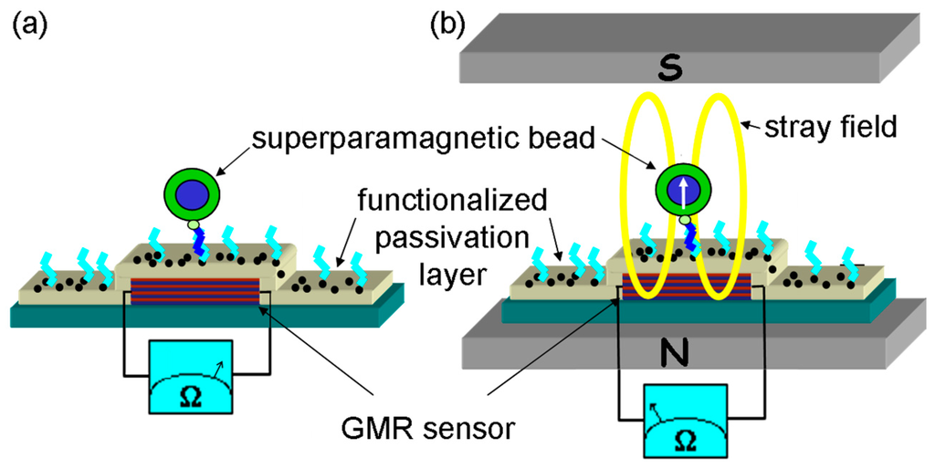 語学+参考書 Magnetic Multilayers and Giant Magnetoresistance: Fundamentals and Industrial Applications (Springer Series in Surface Sciences 37) Amazon.com: Magnetic Multilayers and Giant Magnetoresistance