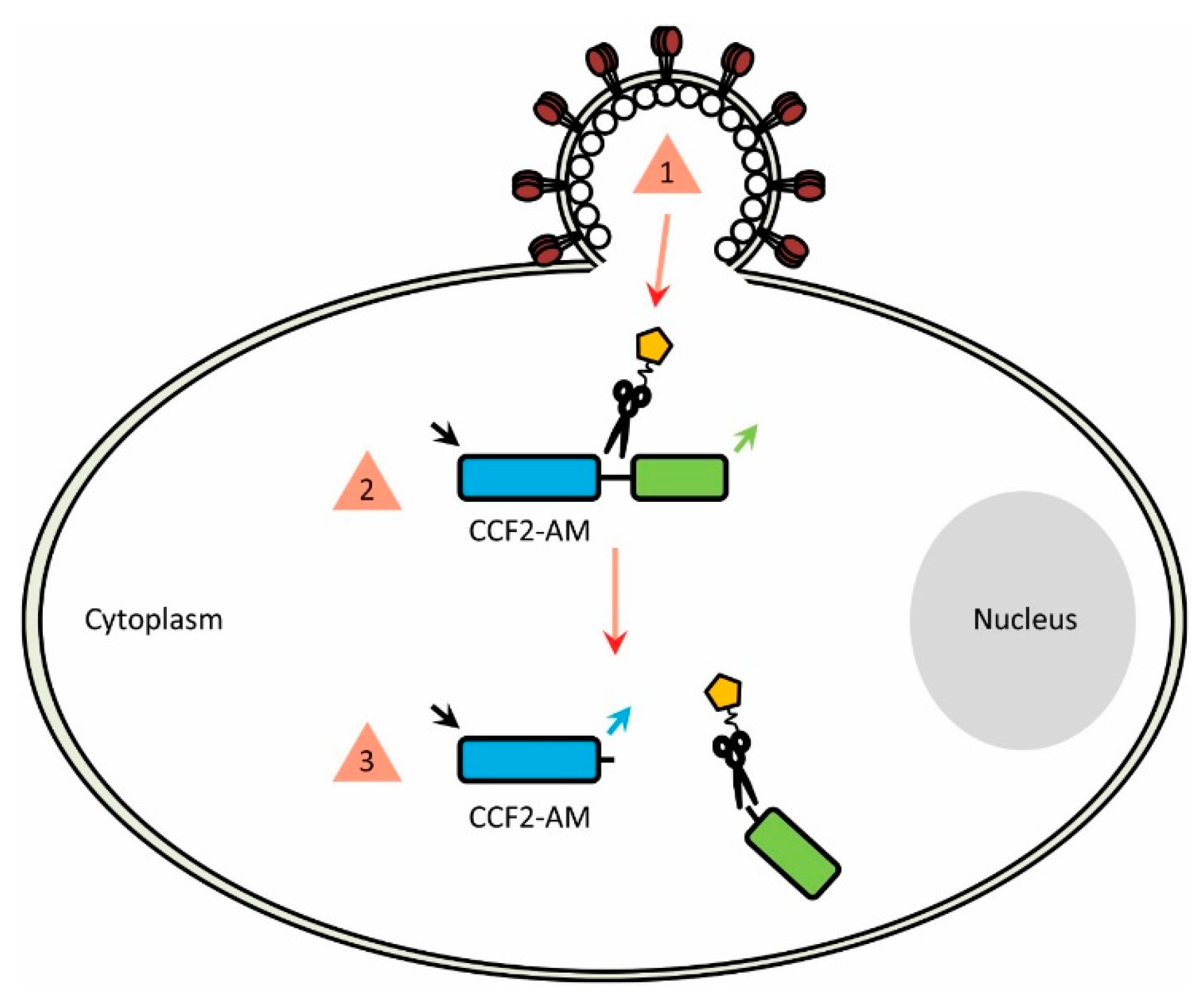 Sensors 16 00950 g003
