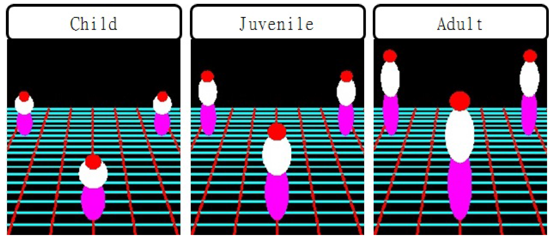 Sensors 16 00963 g002 1024