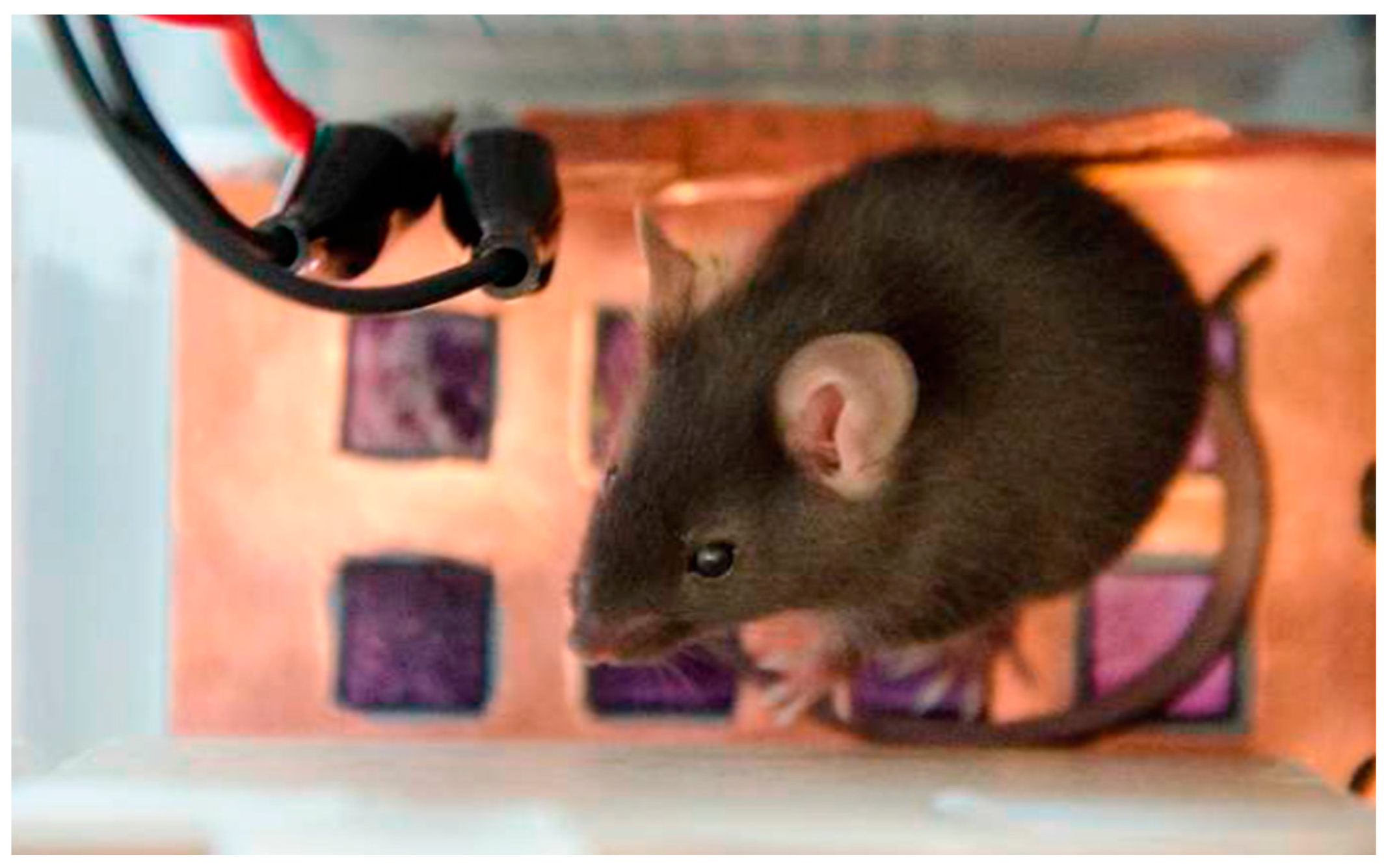 Sensors 16 01052 g014 1024