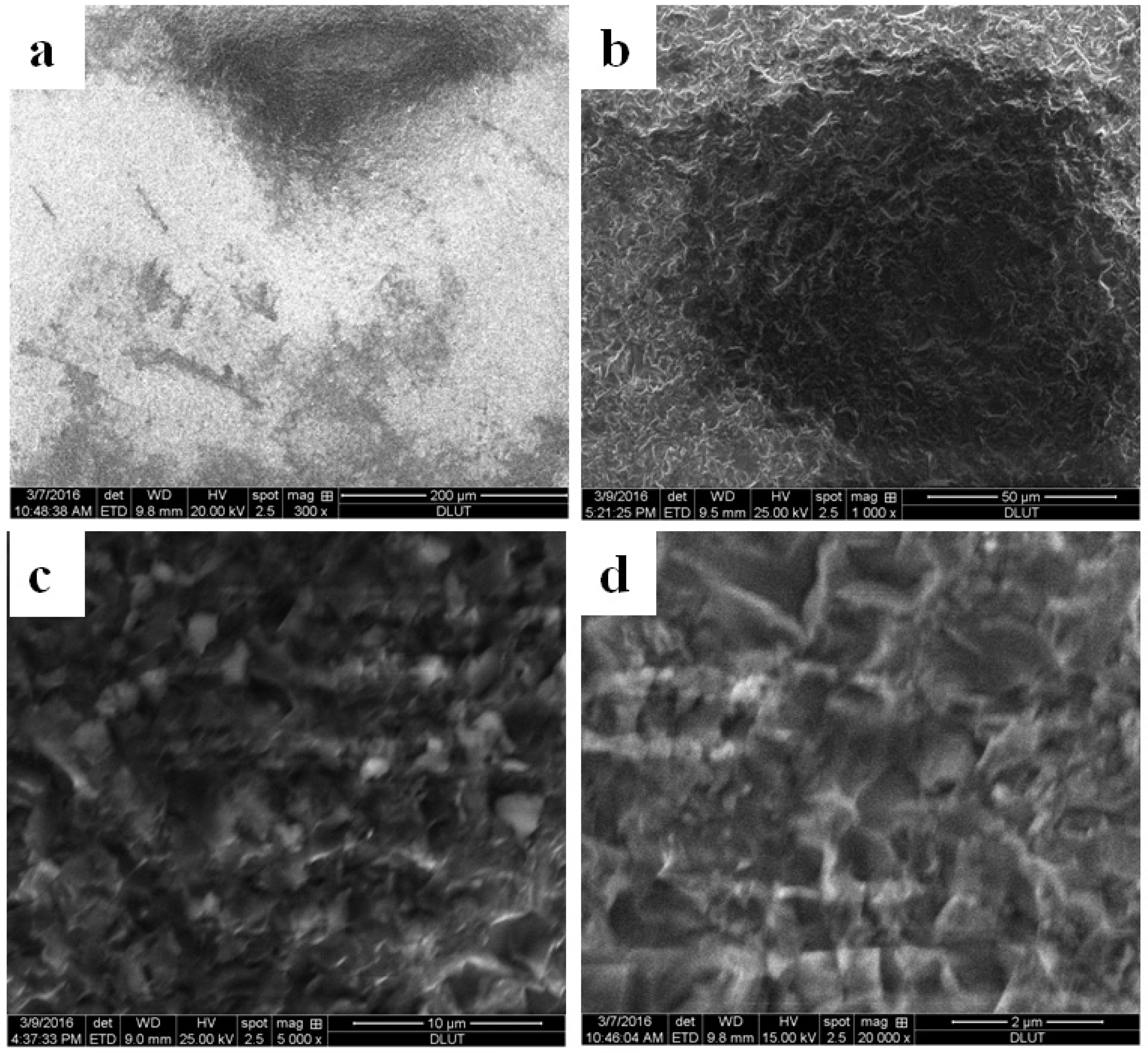 Sensors 16 01060 g007 1024