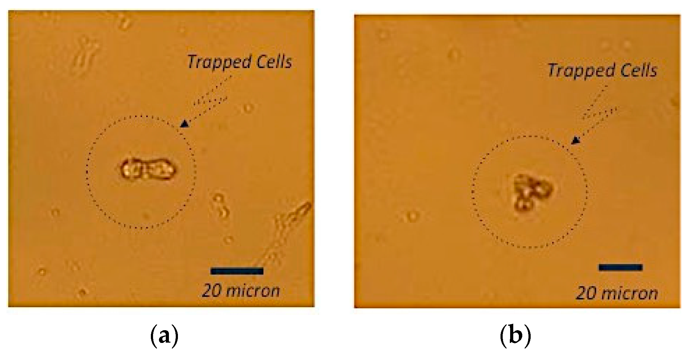 Sensors 16 01071 g007