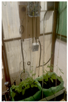 Sensors 16 01141 i014