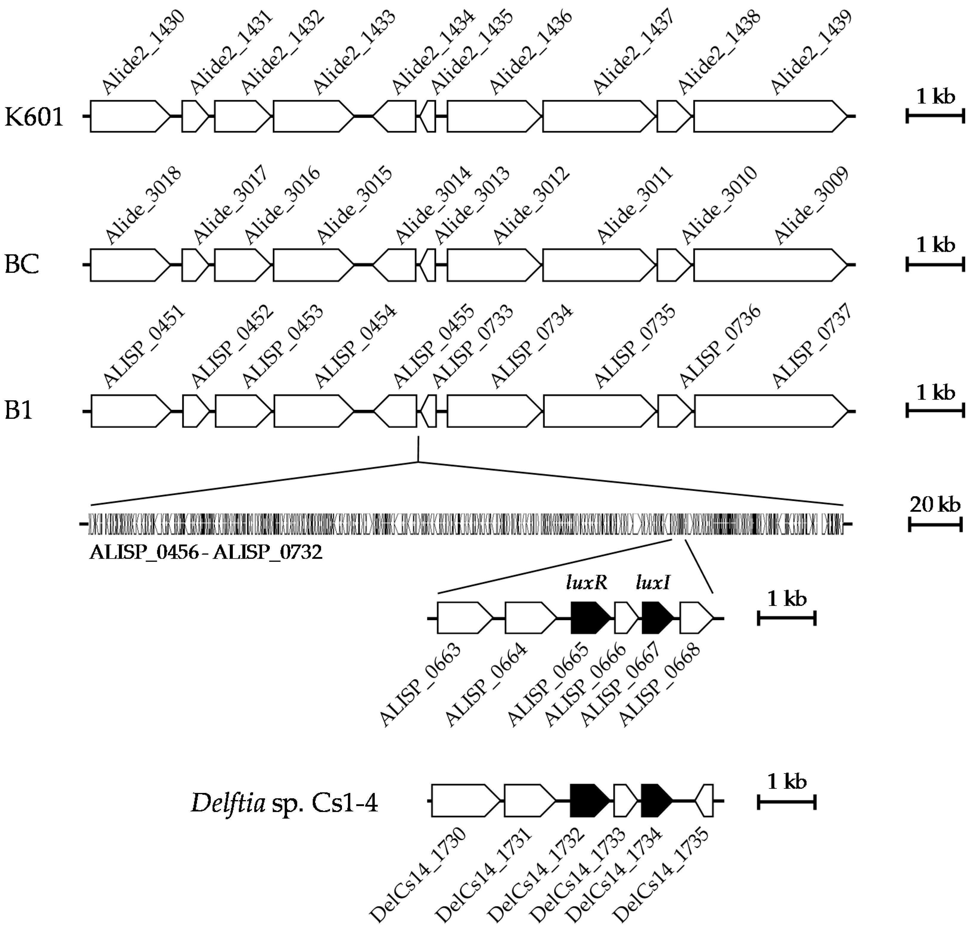 Sensors 16 01218 g003 1024