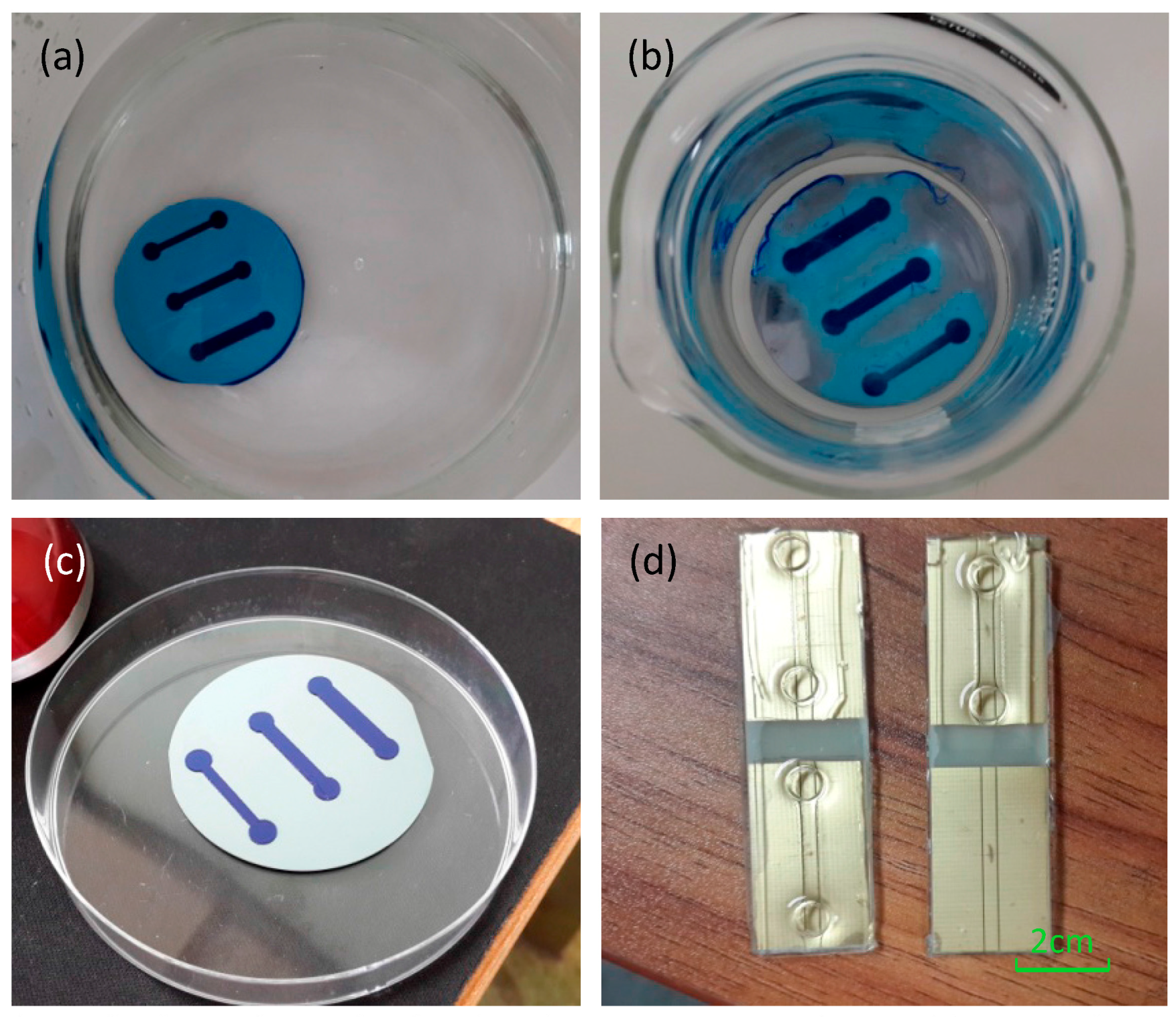 Sensors 16 01234 g002 1024