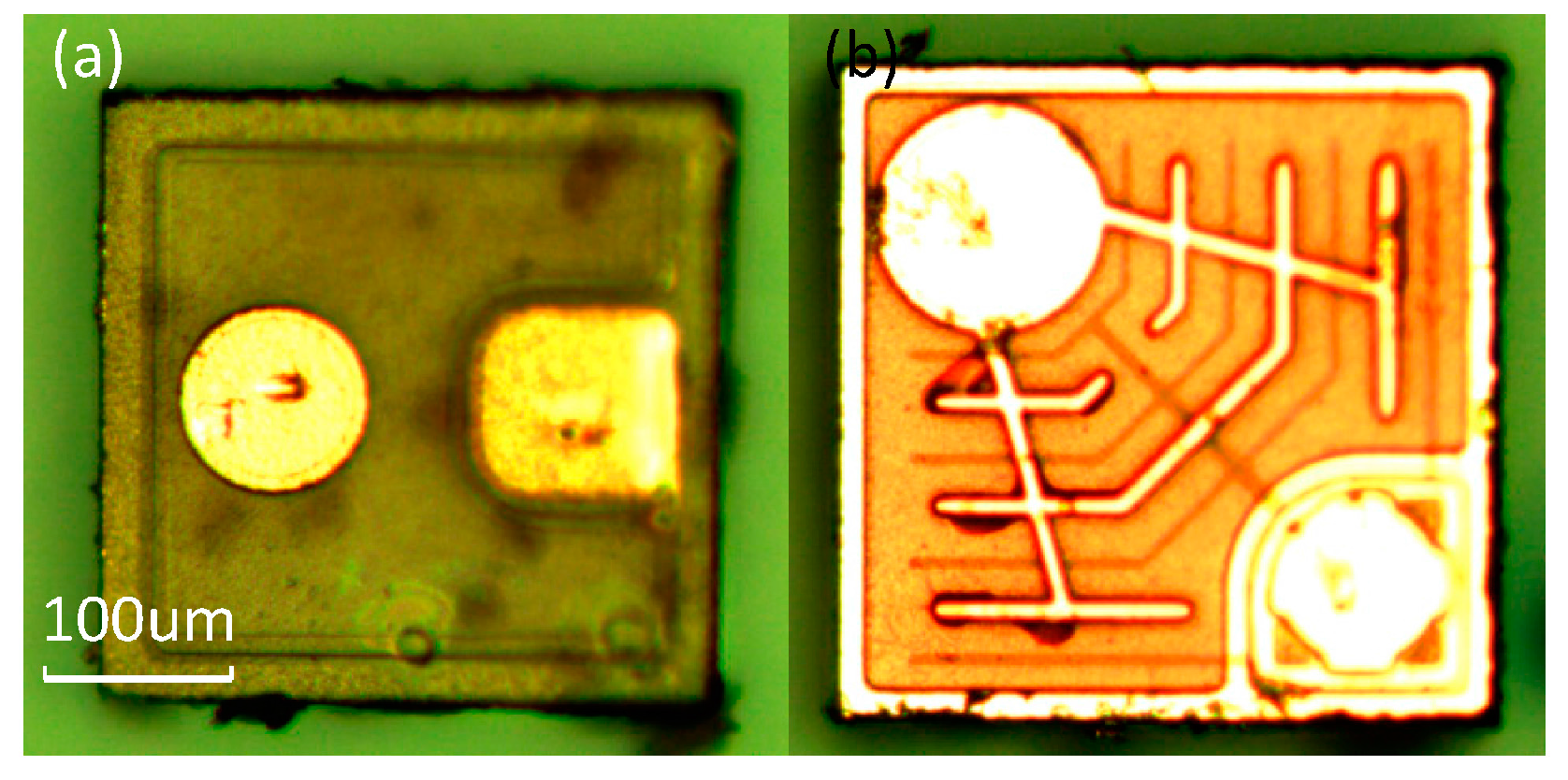 Sensors 16 01234 g003 1024