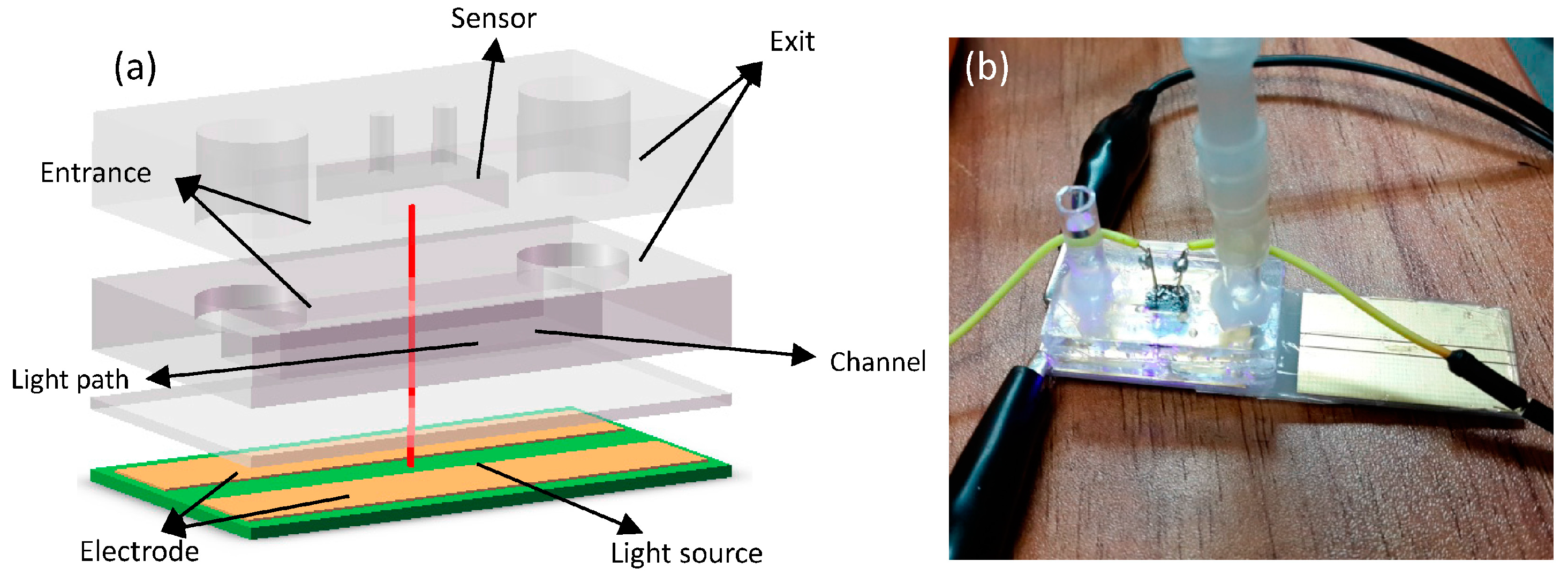 Sensors 16 01234 g004 1024