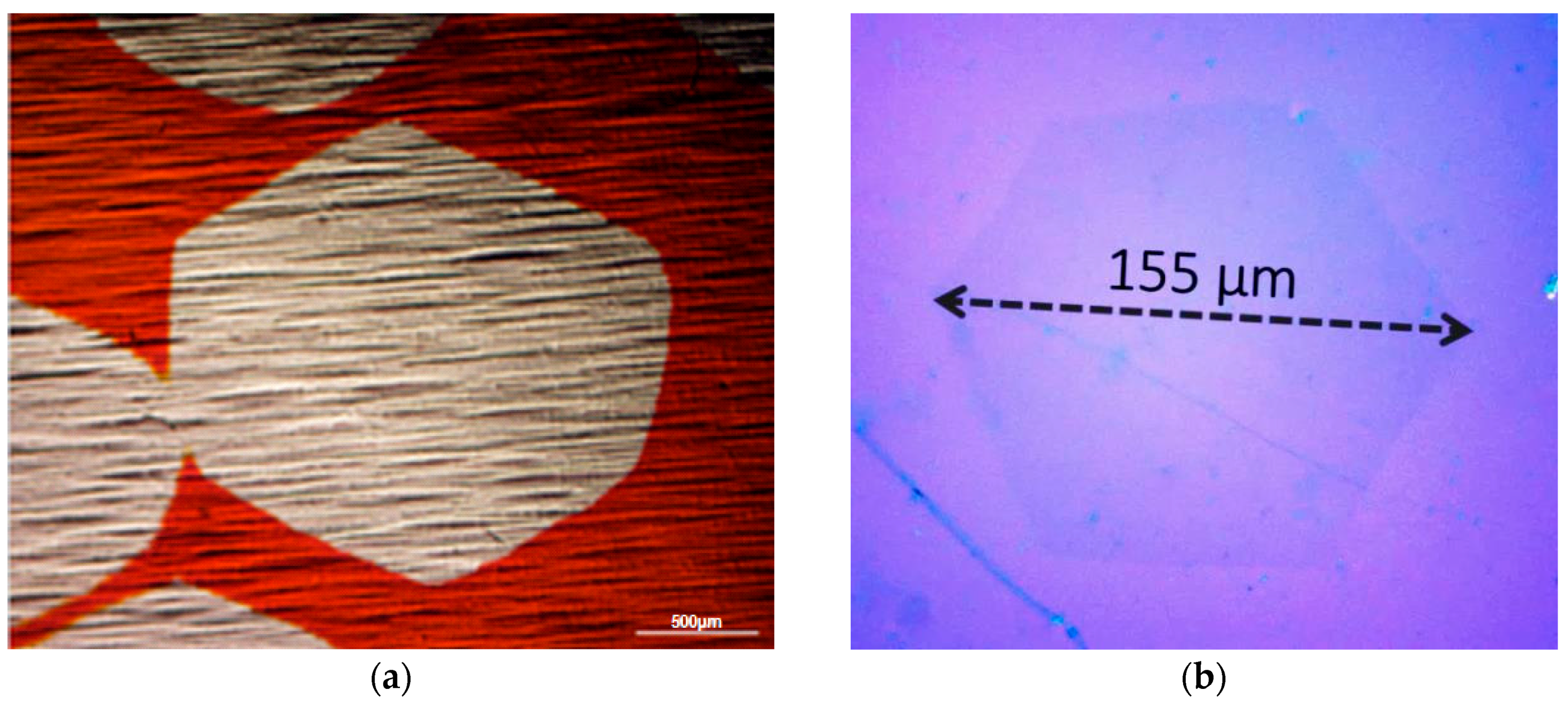Sensors 16 01351 g015