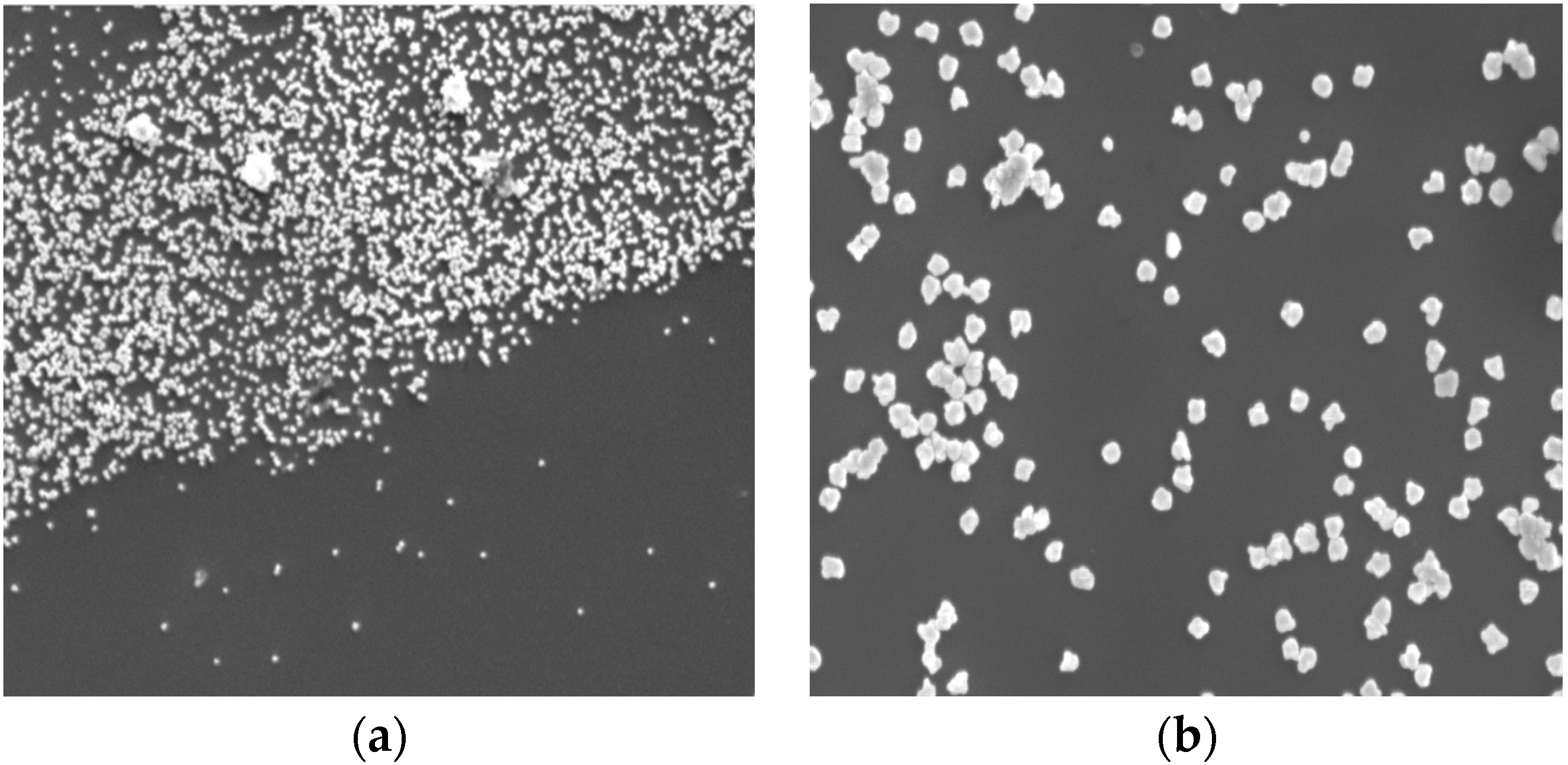 Sensors 16 01365 g009 1024