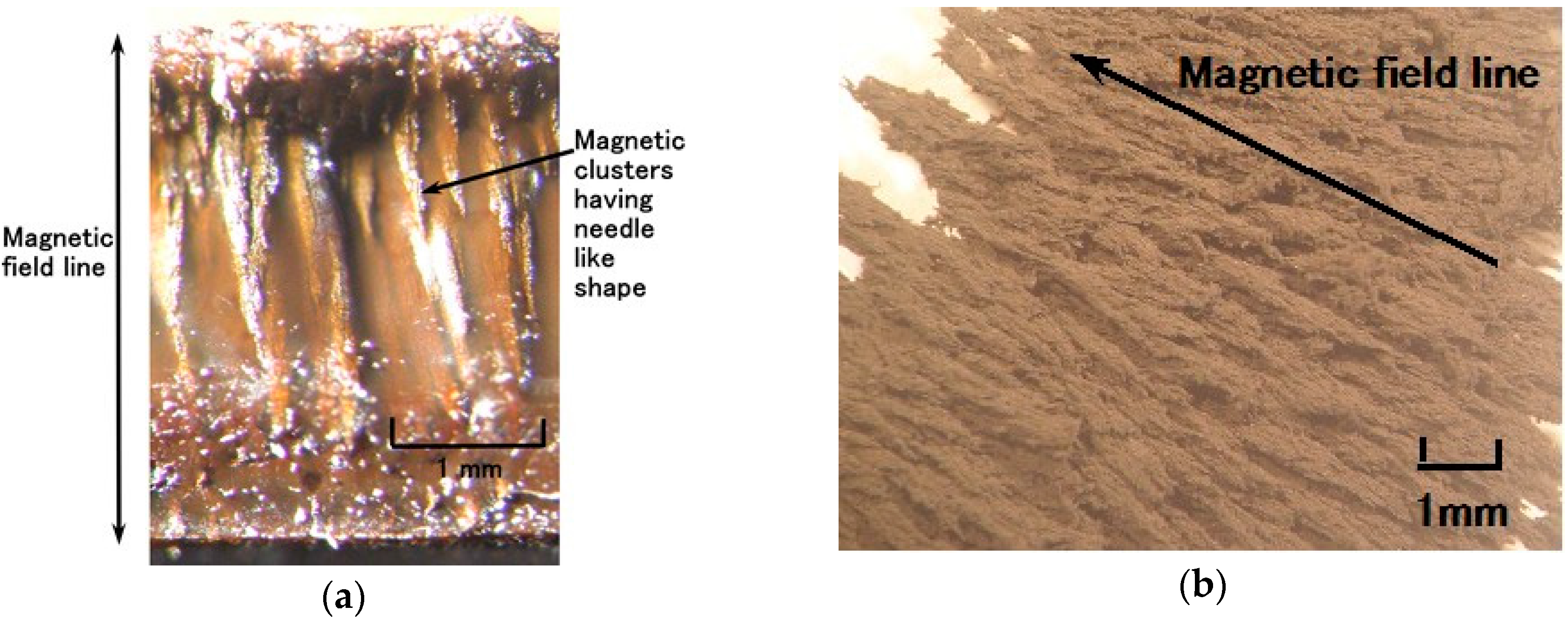 Sensors 16 01521 g005 1024
