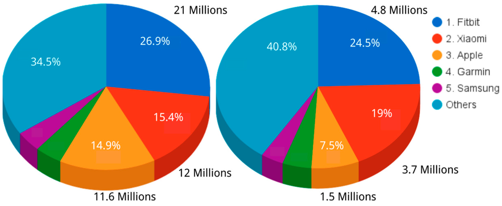 Fitbit market share 2019 shop