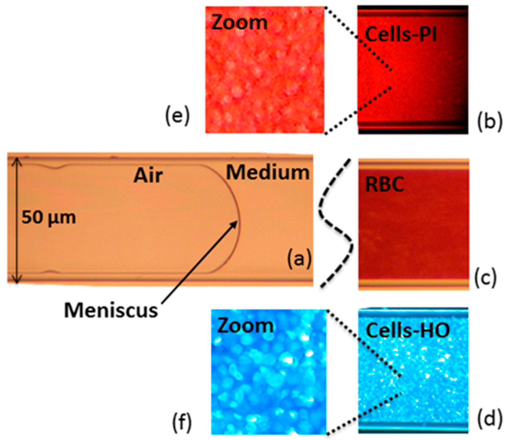 Sensors 16 01670 g002