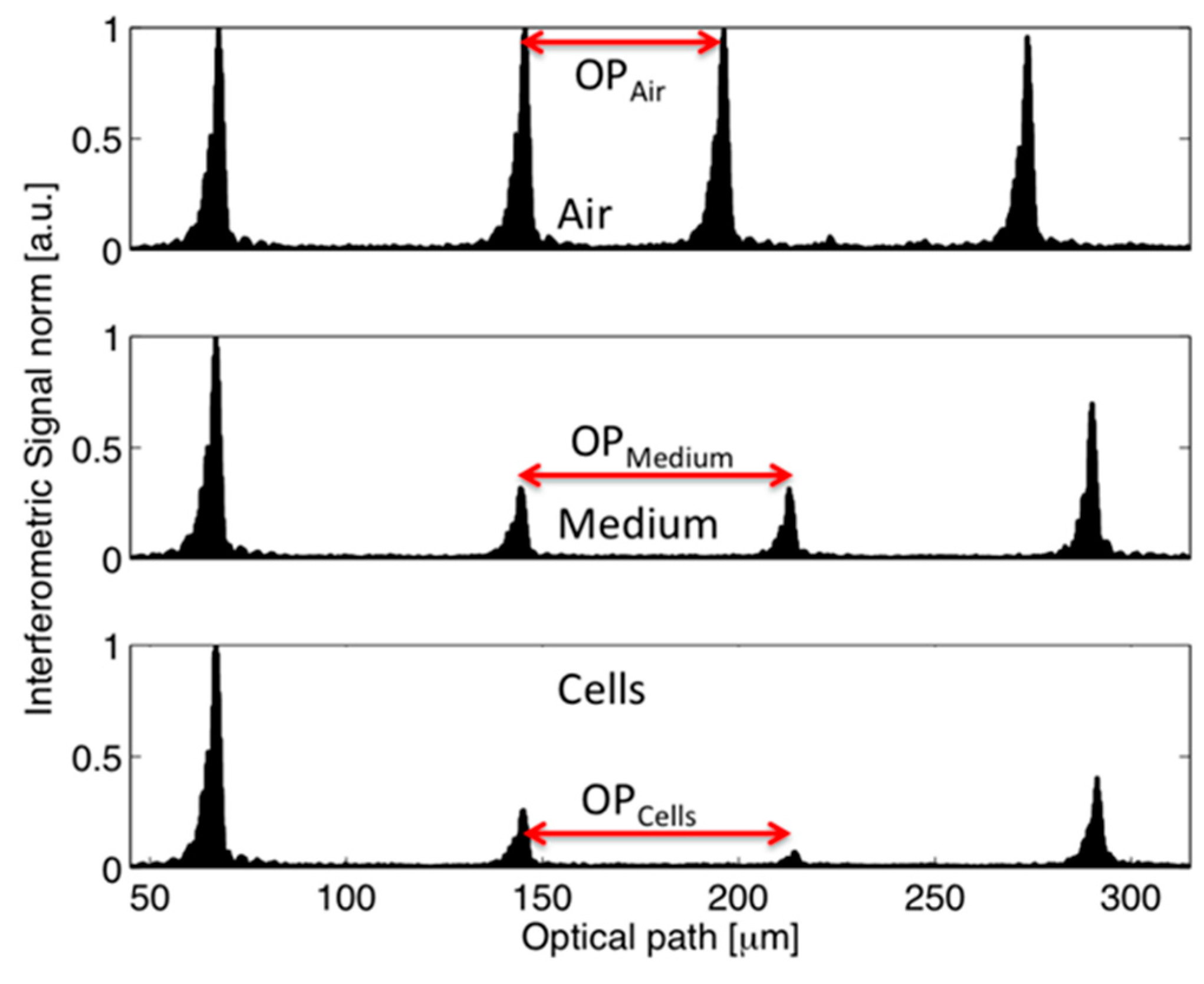 Sensors 16 01670 g004