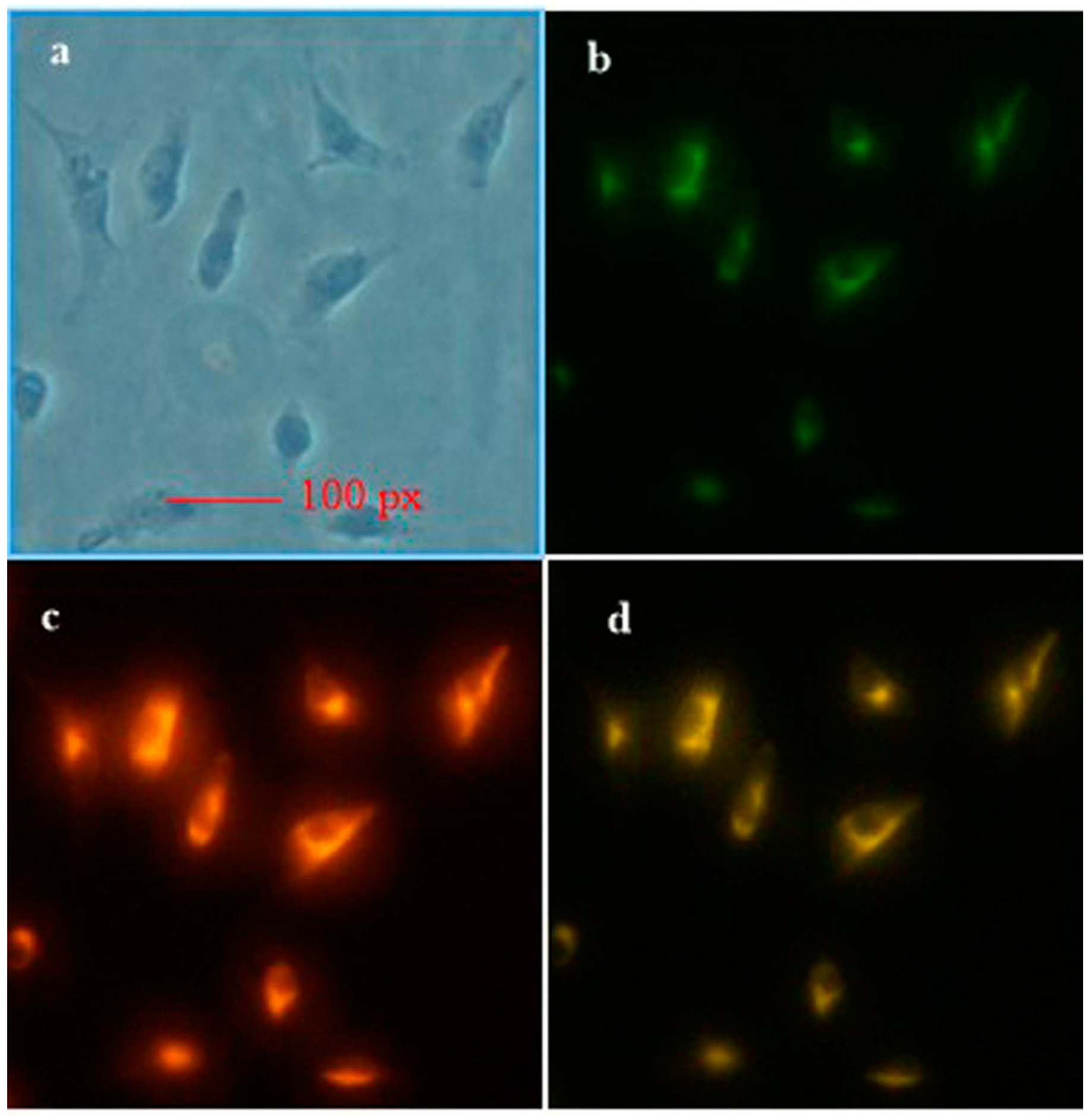 Sensors 16 01684 g003
