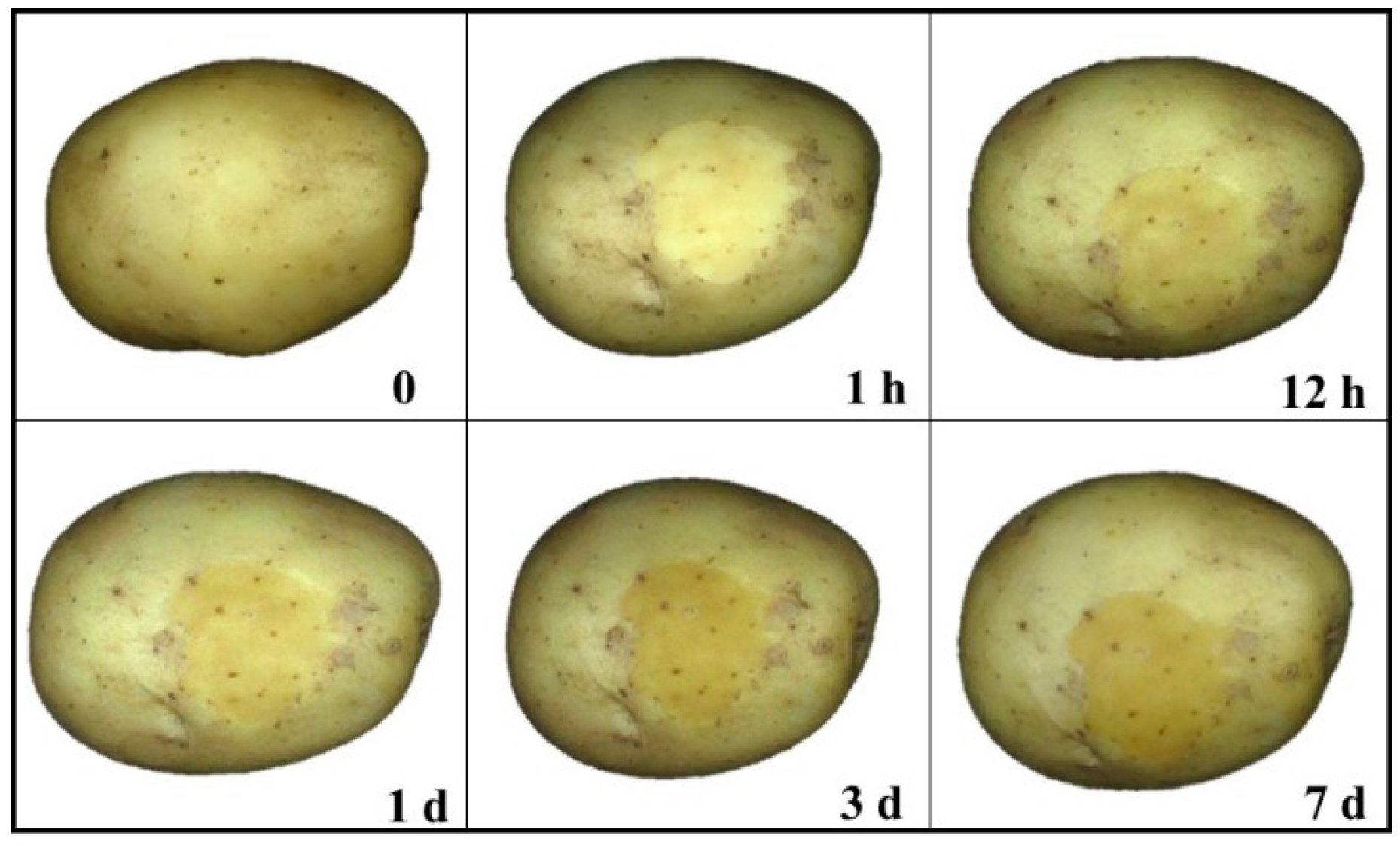 Potato Defects Chart