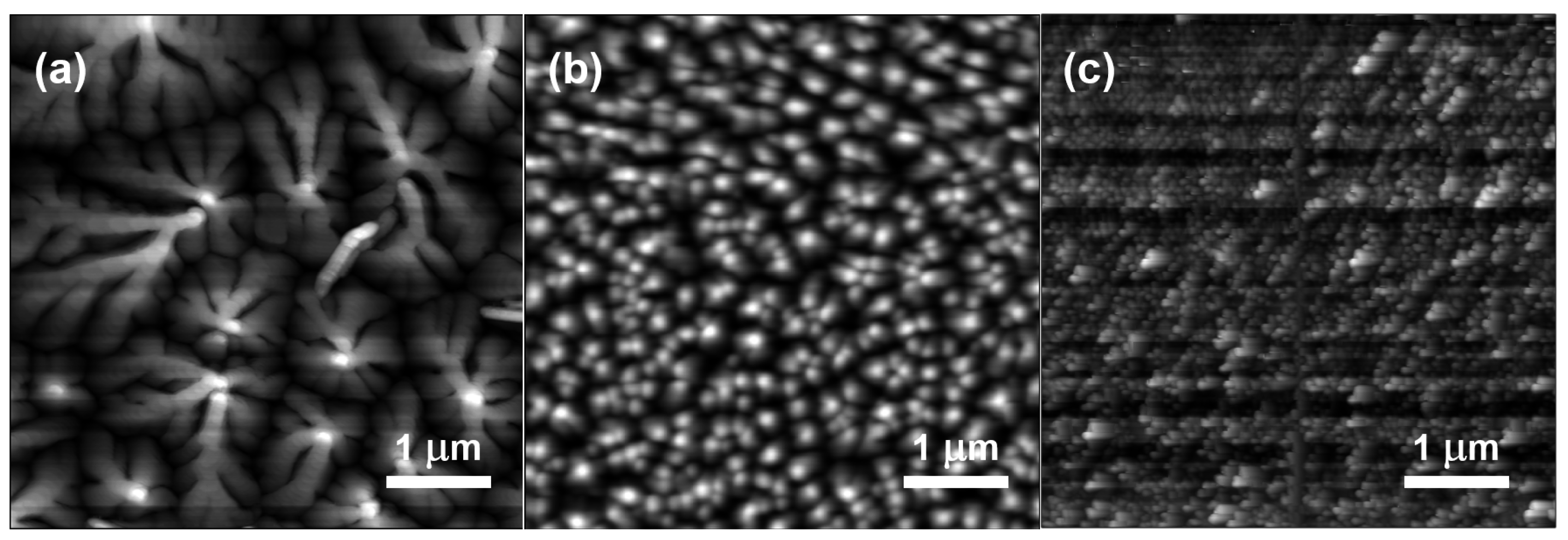 Sensors 16 01763 g005