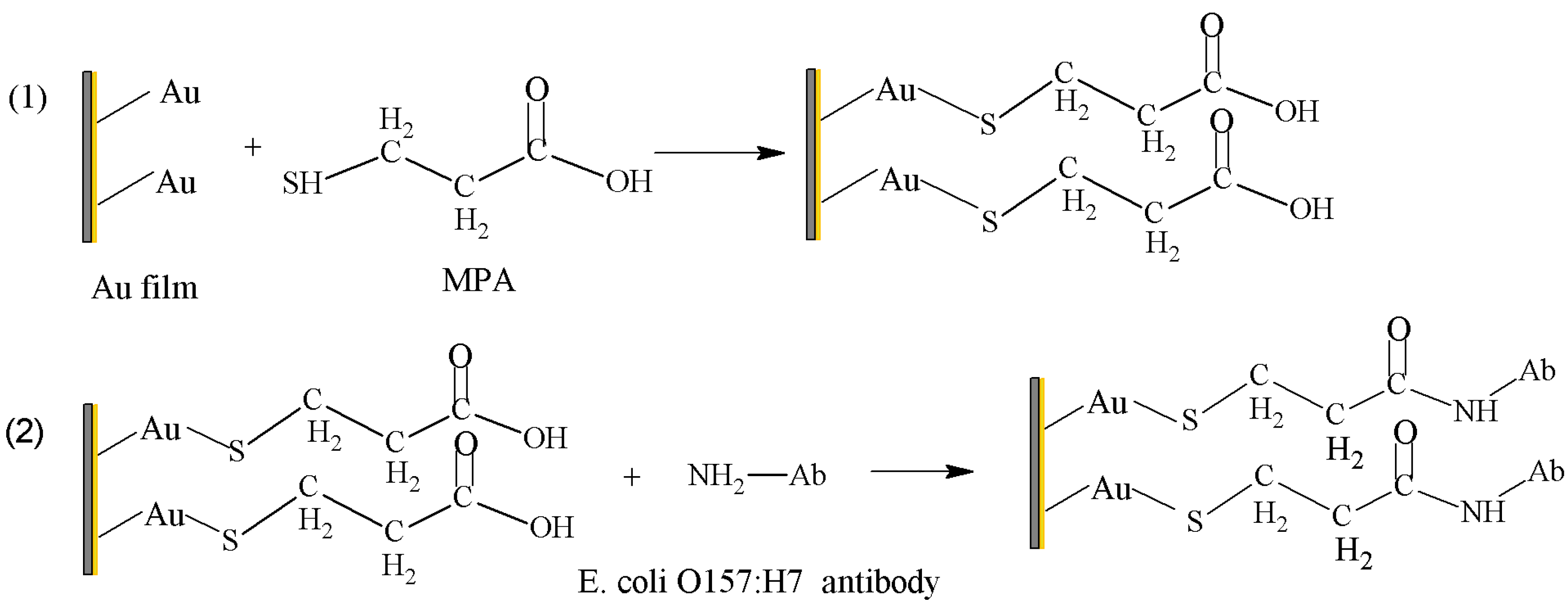 Sensors 16 01856 g002