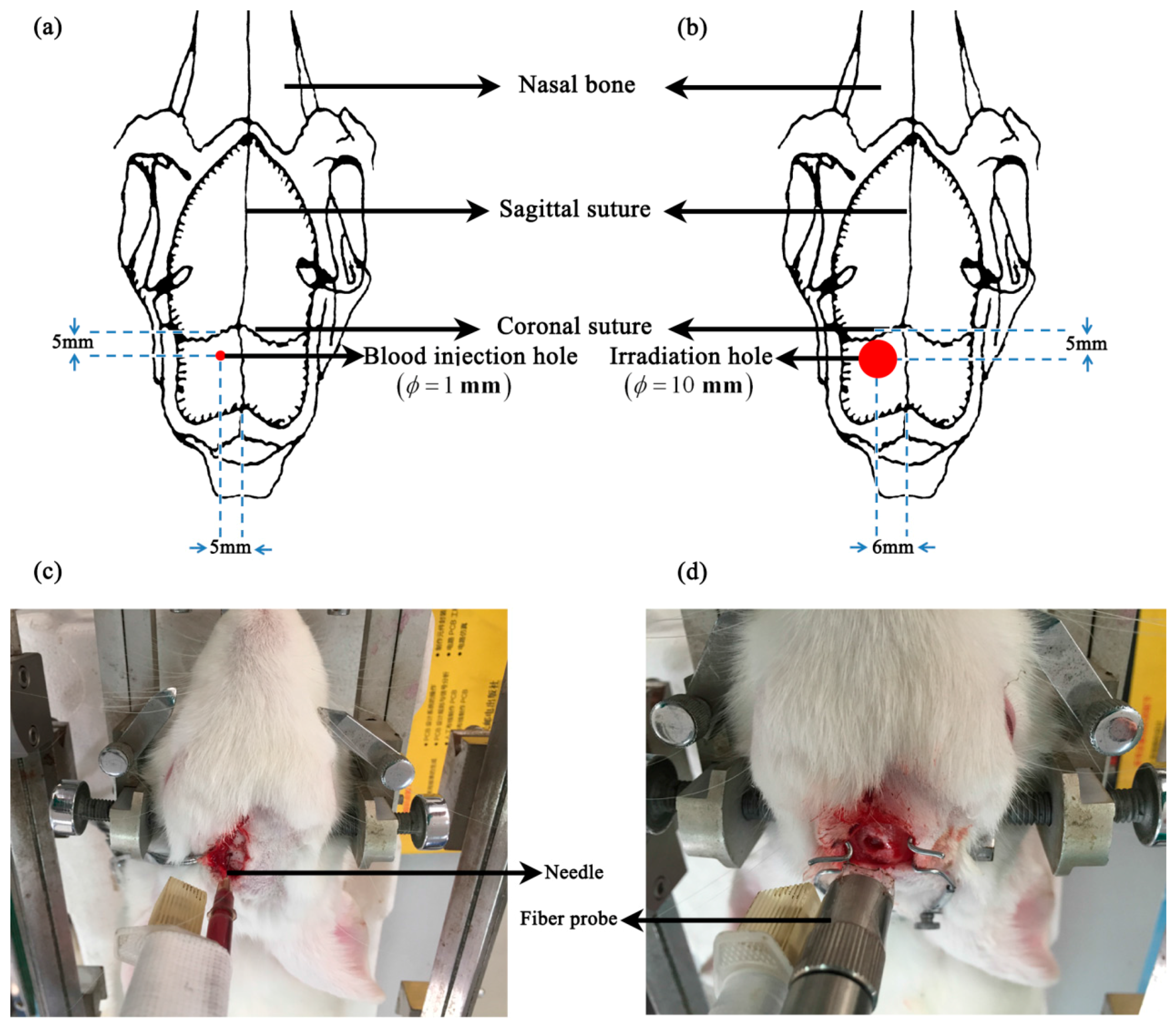 Sensors 16 01942 g001