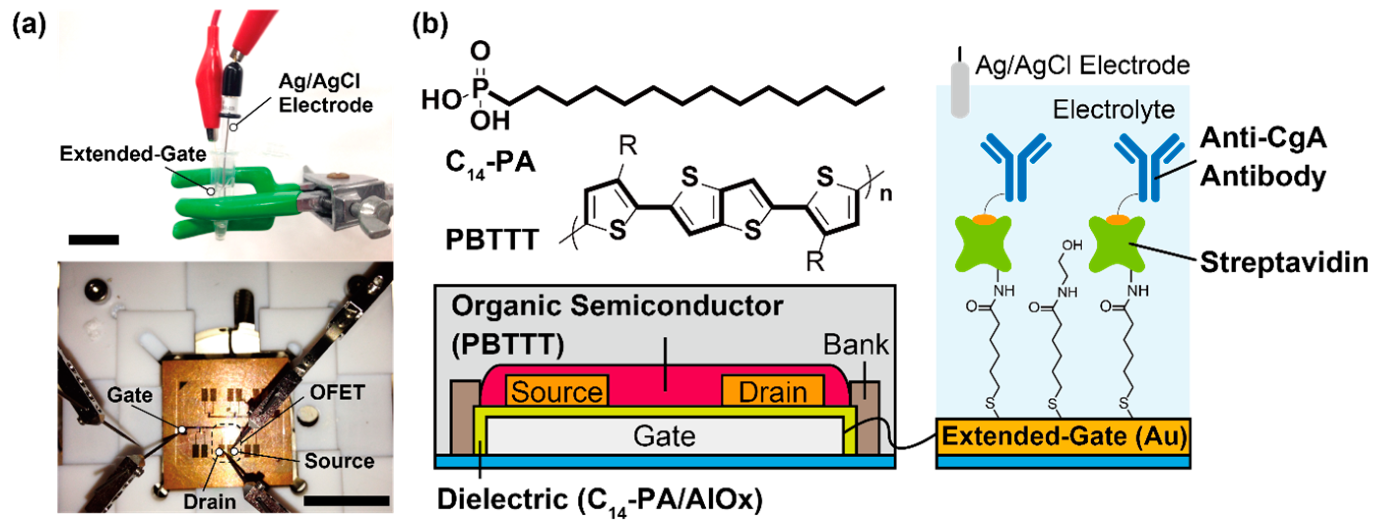 Sensors 16 02033 g001 550