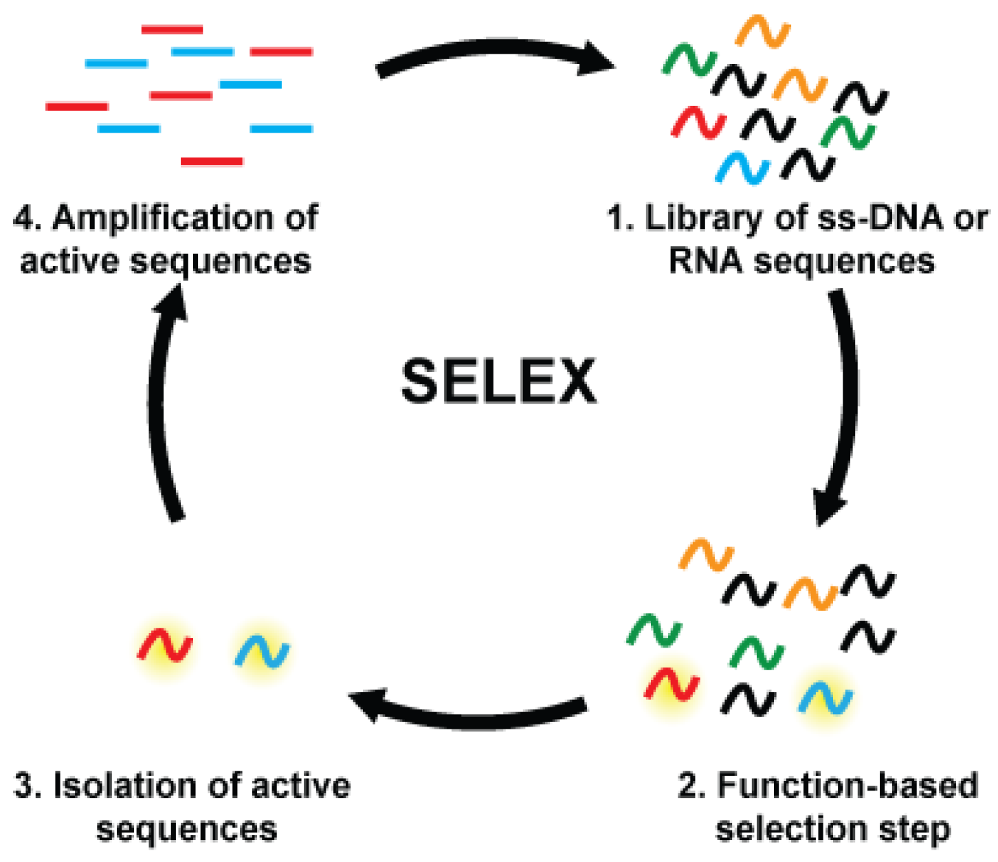 sensors free full text integrating deoxyribozymes into function of nucleic acids