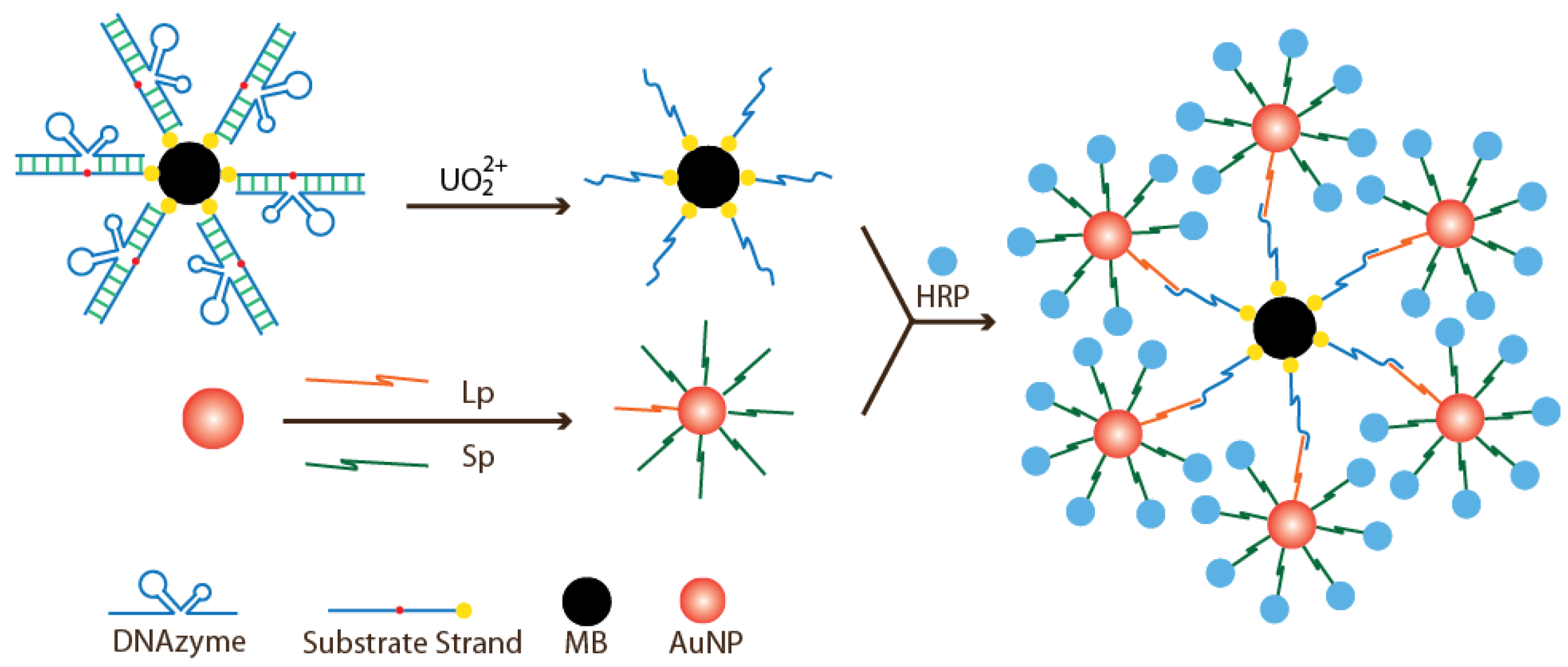 Sensors 16 02061 g007