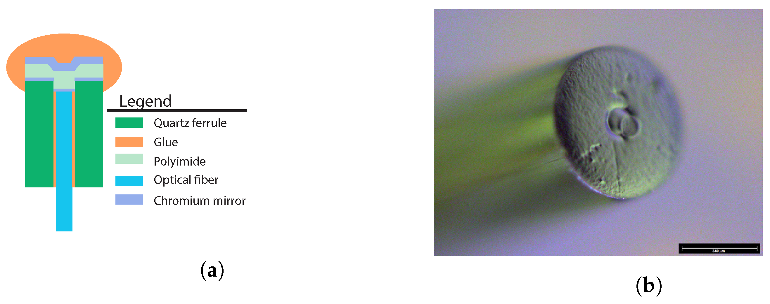 Sensors 17 00038 g006 550