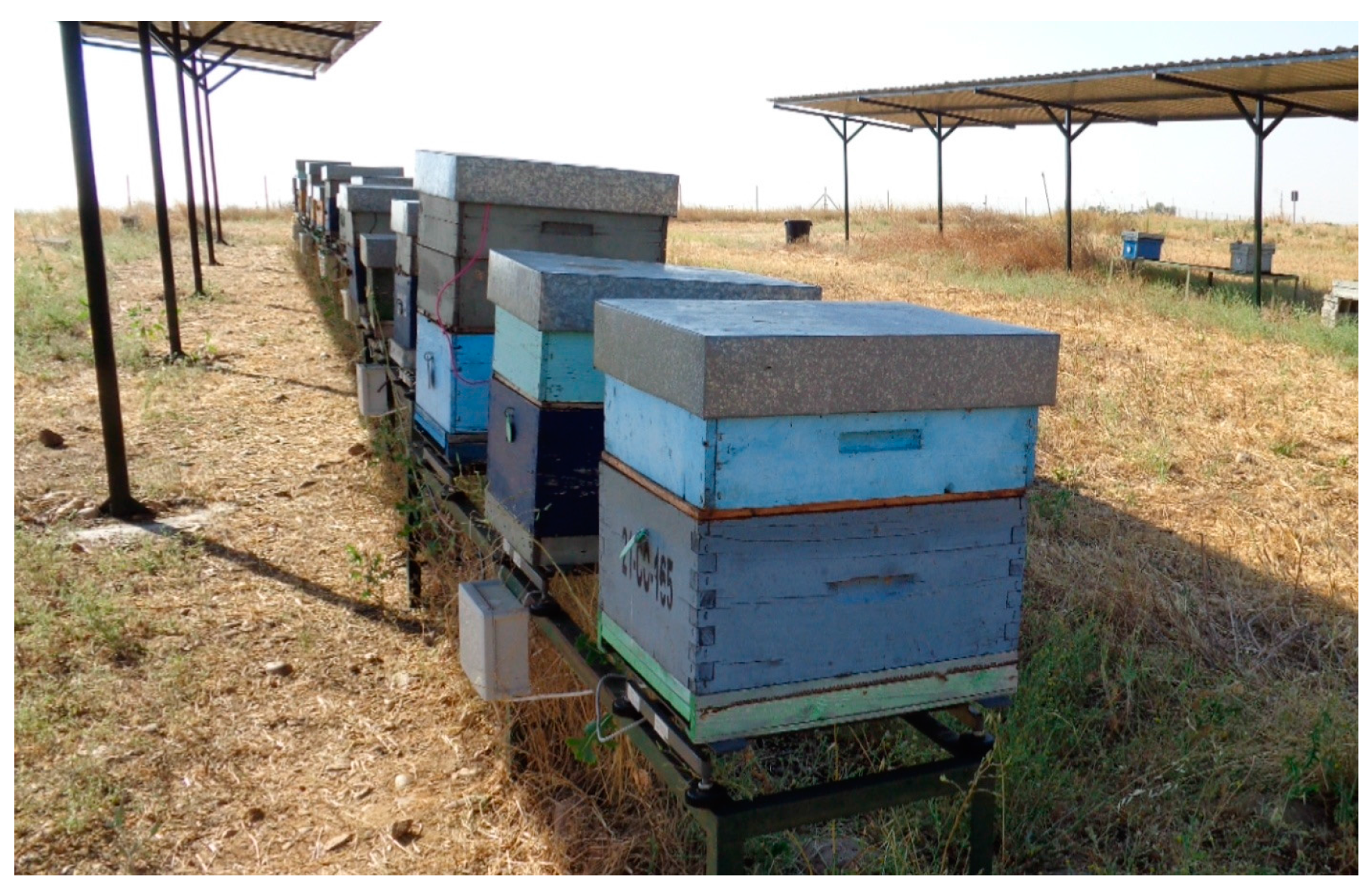 Sensors 17 00055 g016 550