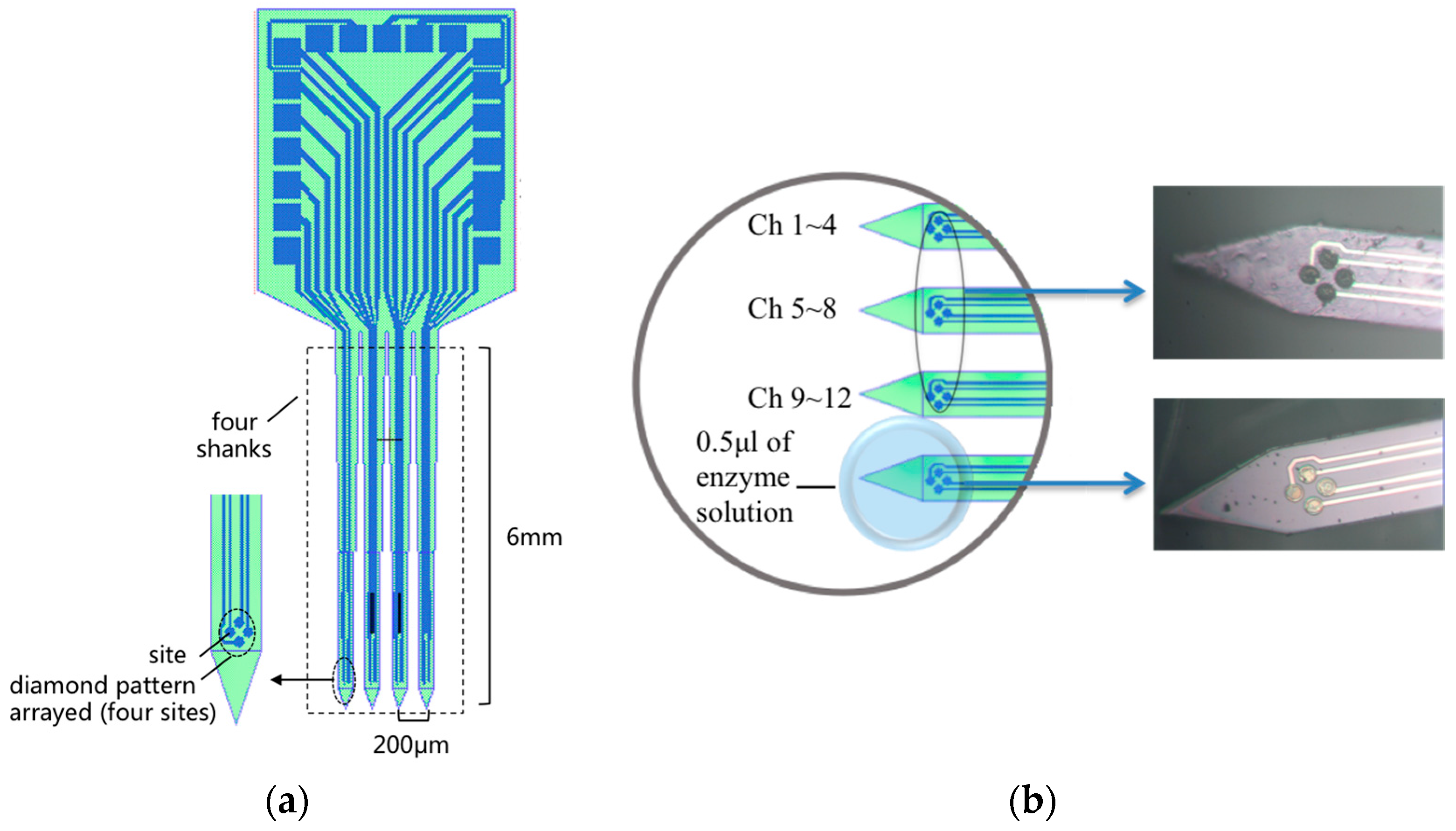 Sensors 17 00061 g001