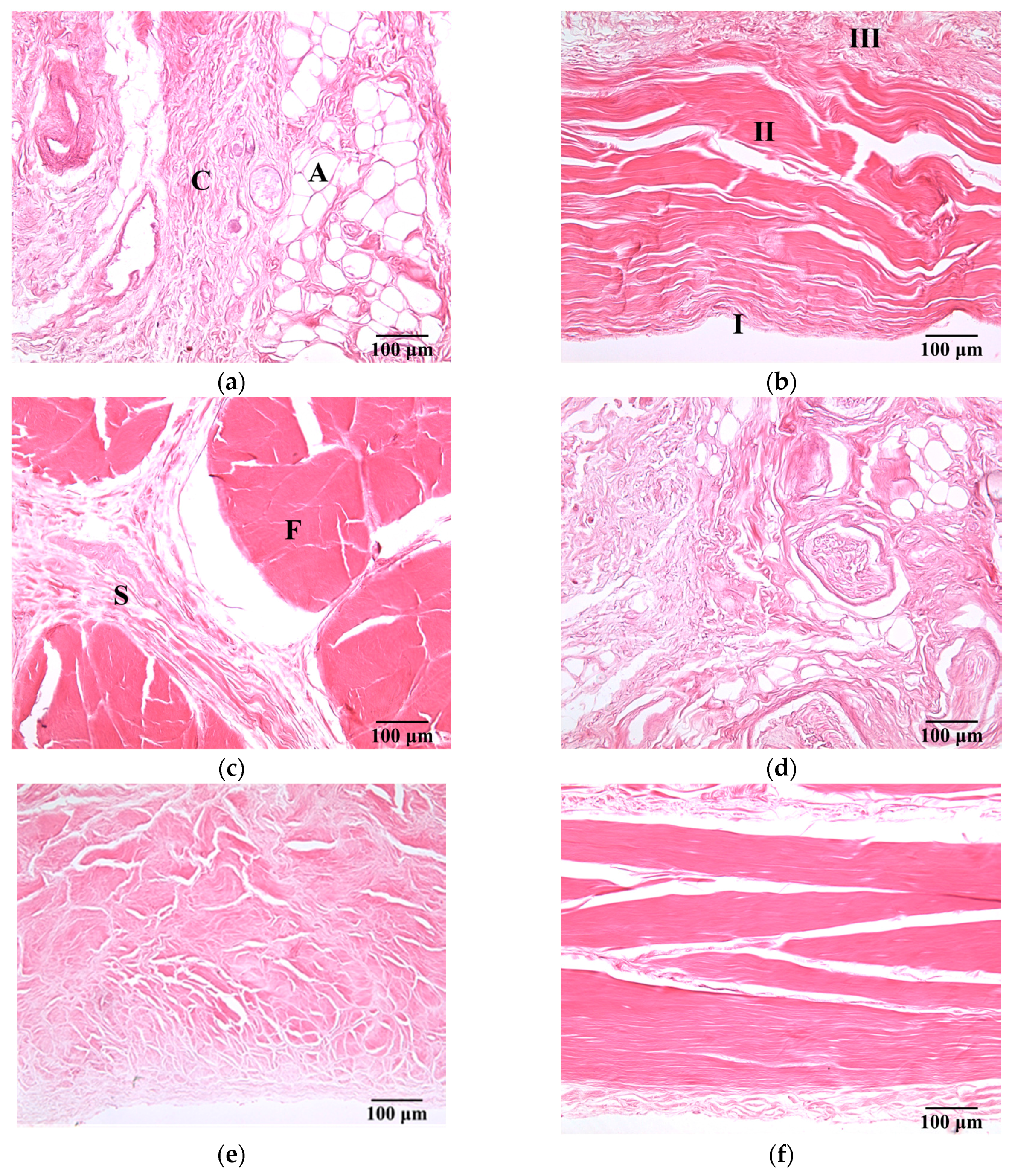 Sensors 17 00107 g003 550