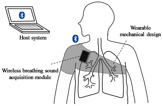 breathing zone monitor breathing zone monitor
