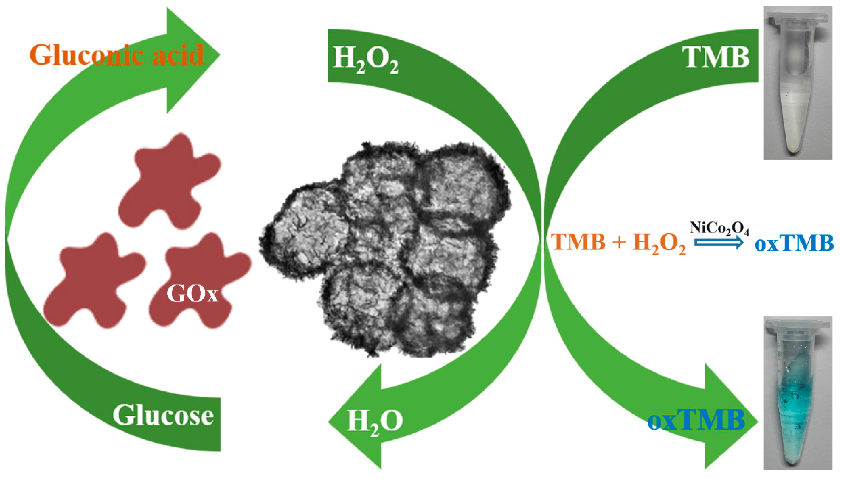Sensors 17 00217 g008 550