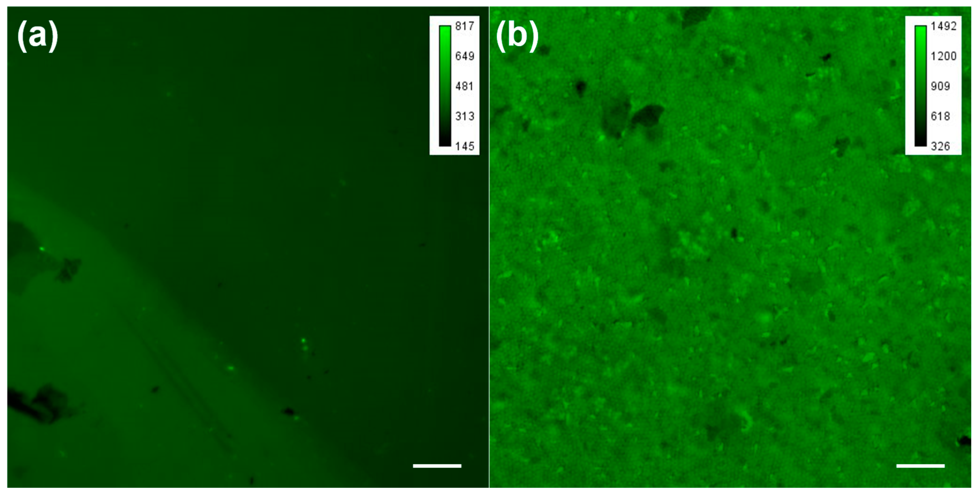 Sensors 17 00221 g003