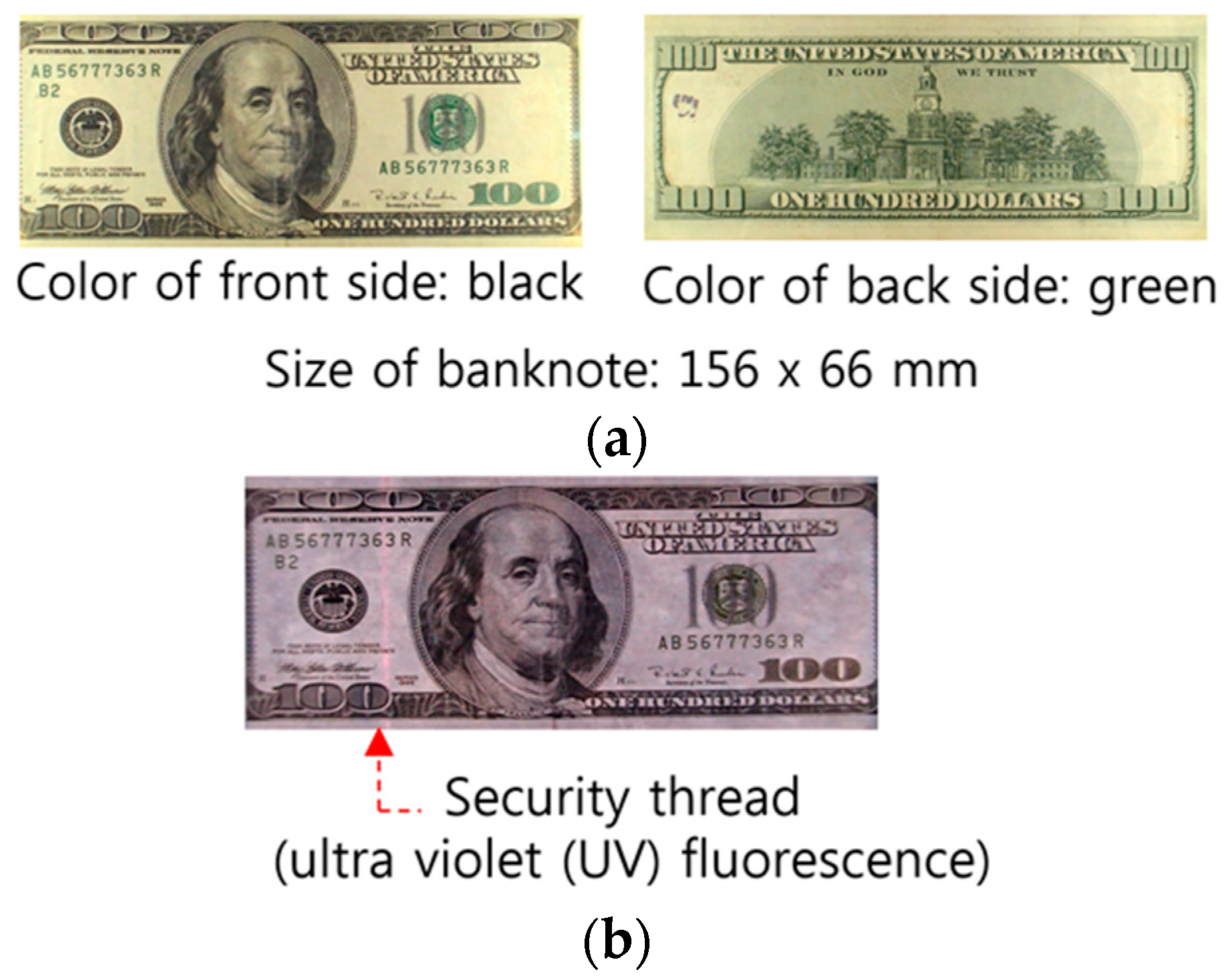 UV Black Light Counterfeit Bill Detector DNA Forensic Evidence Fluorescent Light 
