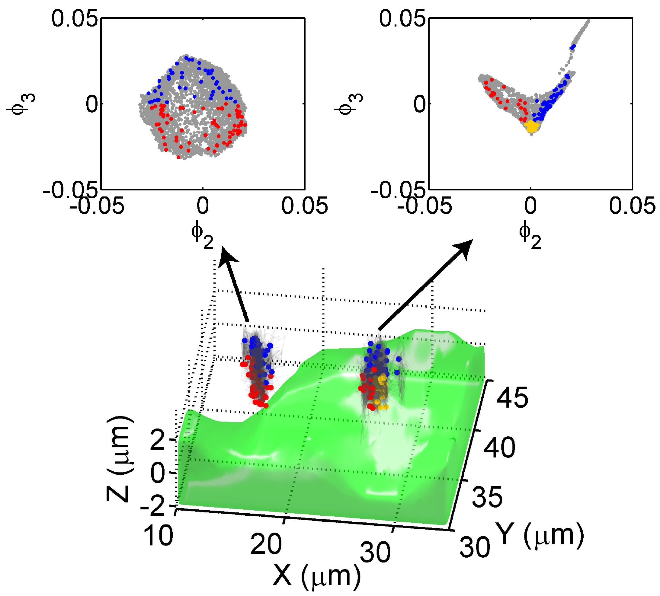 Sensors 17 00315 g006 550