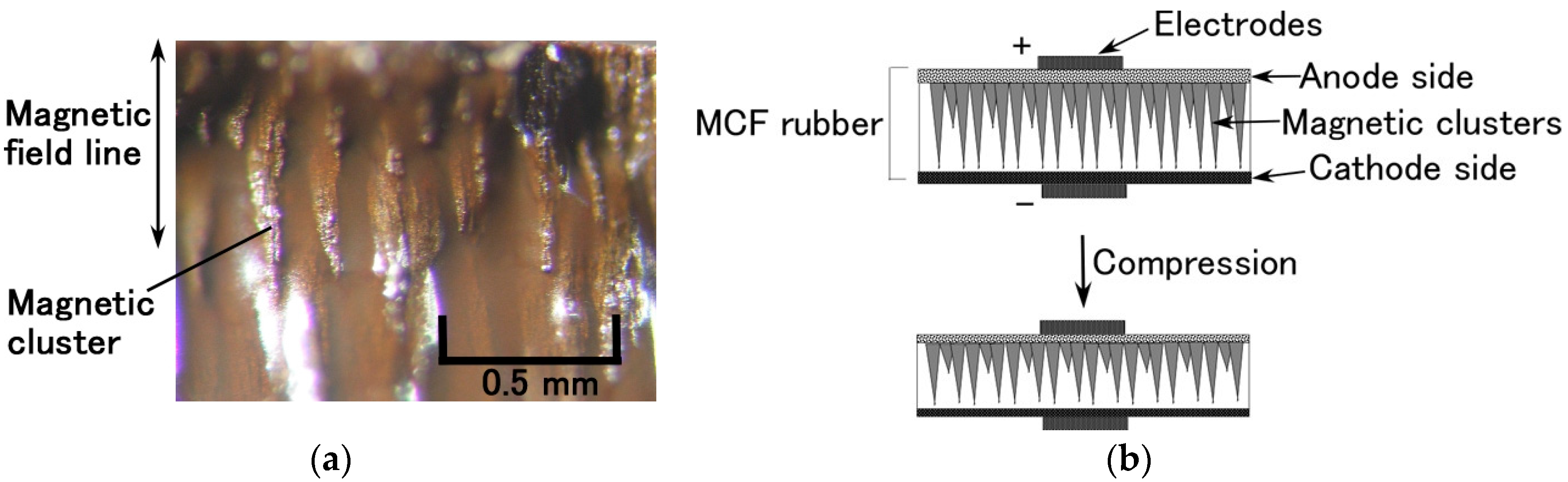 Sensors 17 00346 g001 550