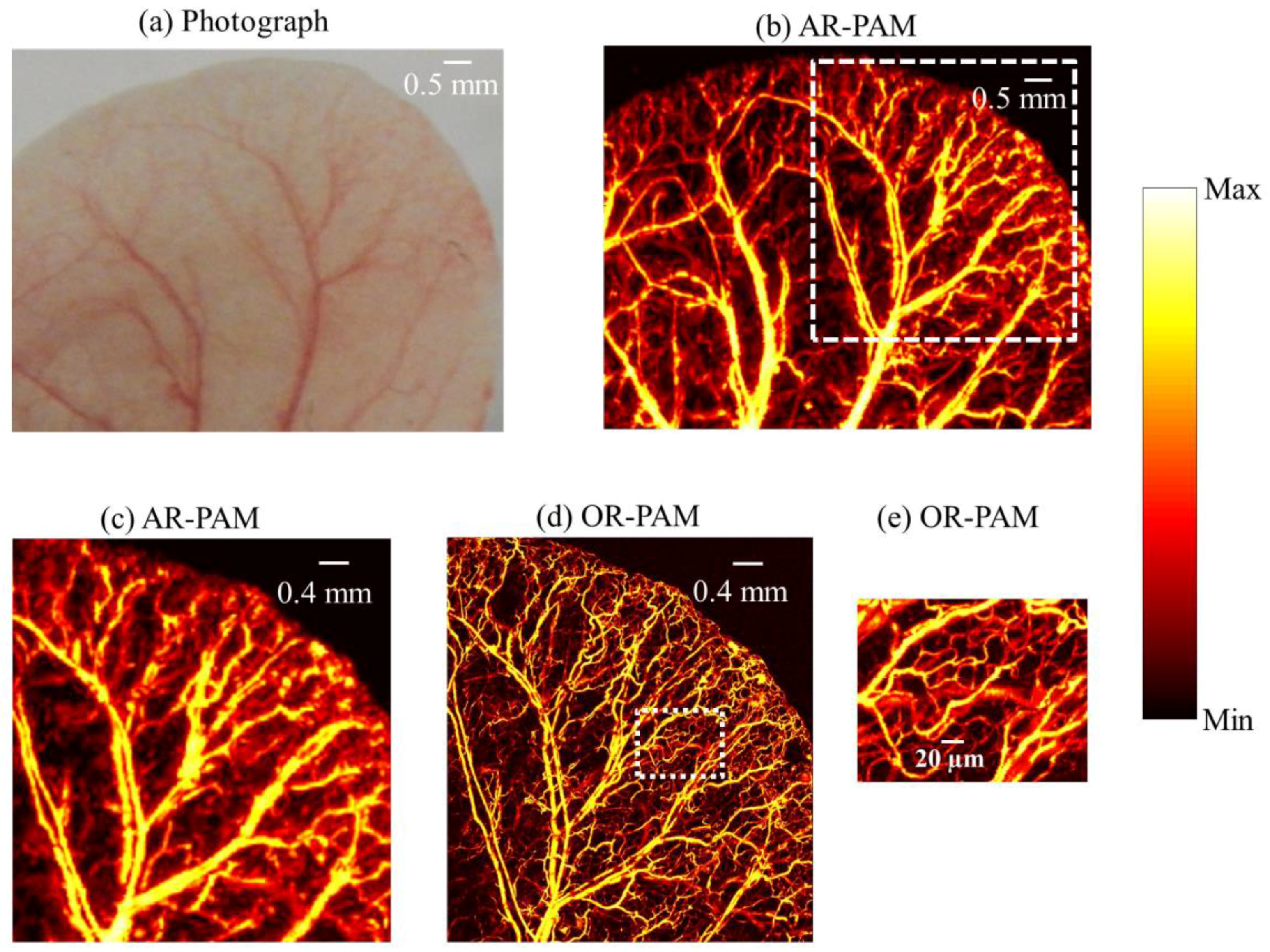 Sensors 17 00357 g005 550
